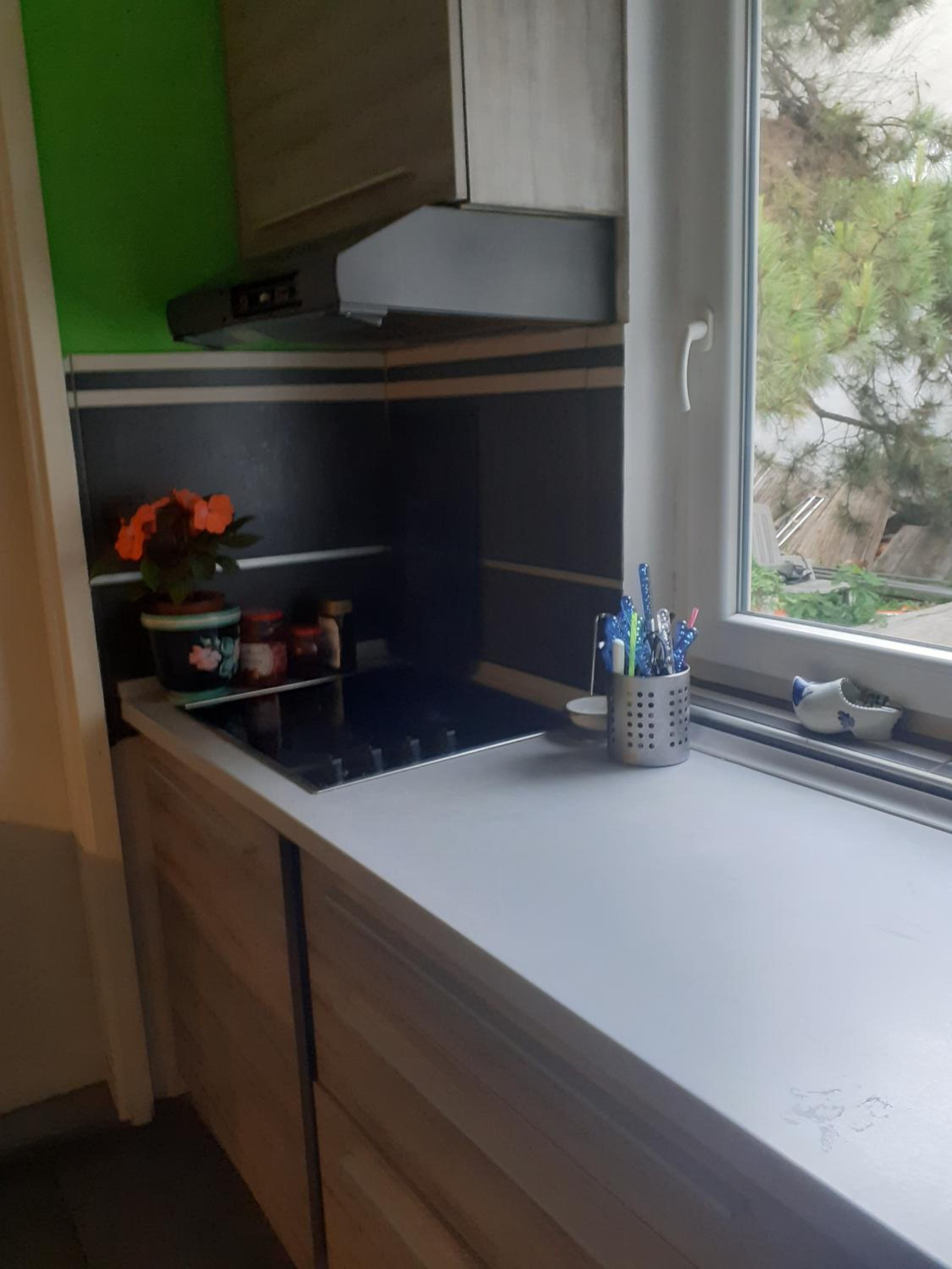 APARTMAN SLAVUJ
