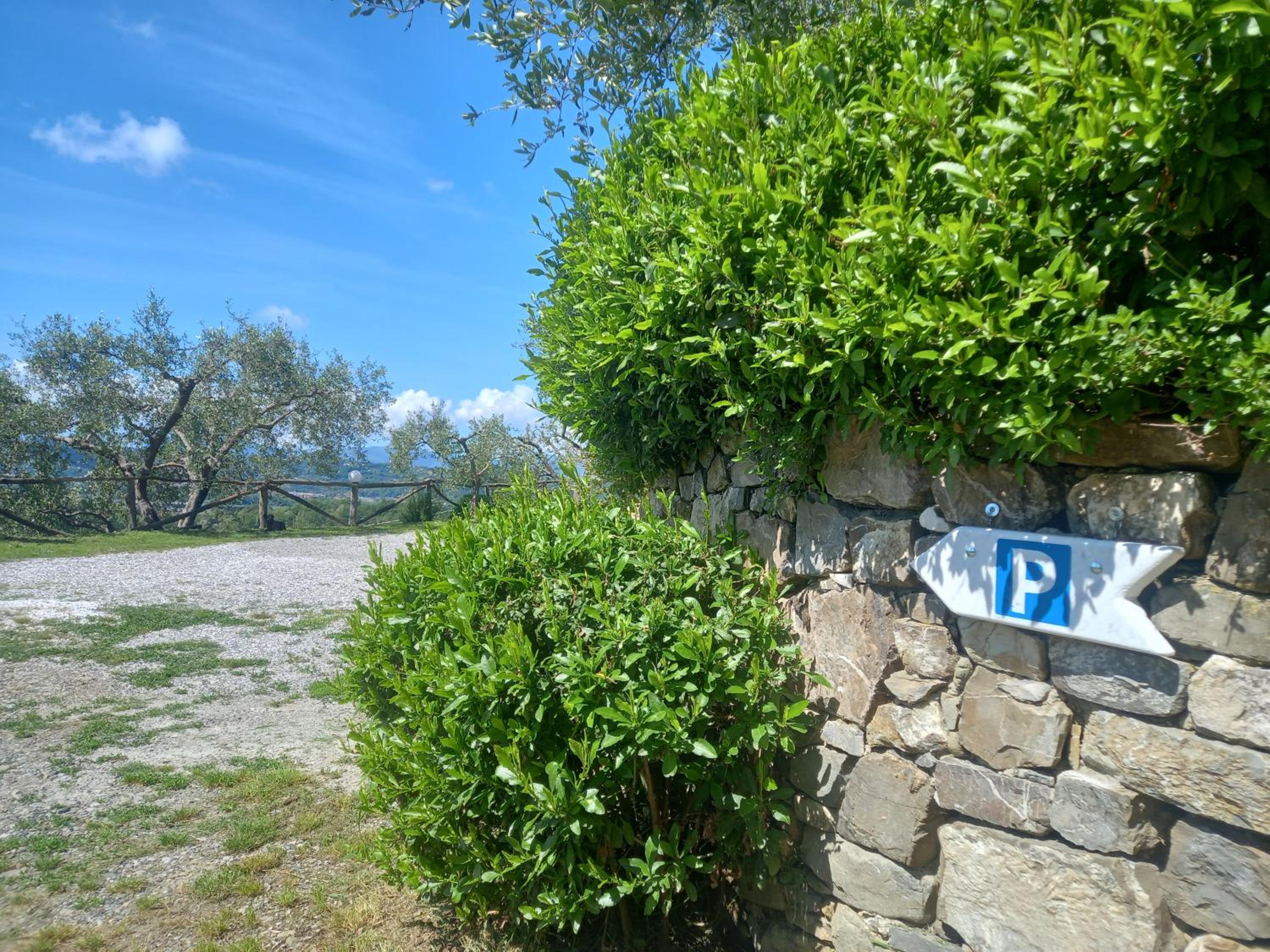 Photo 29