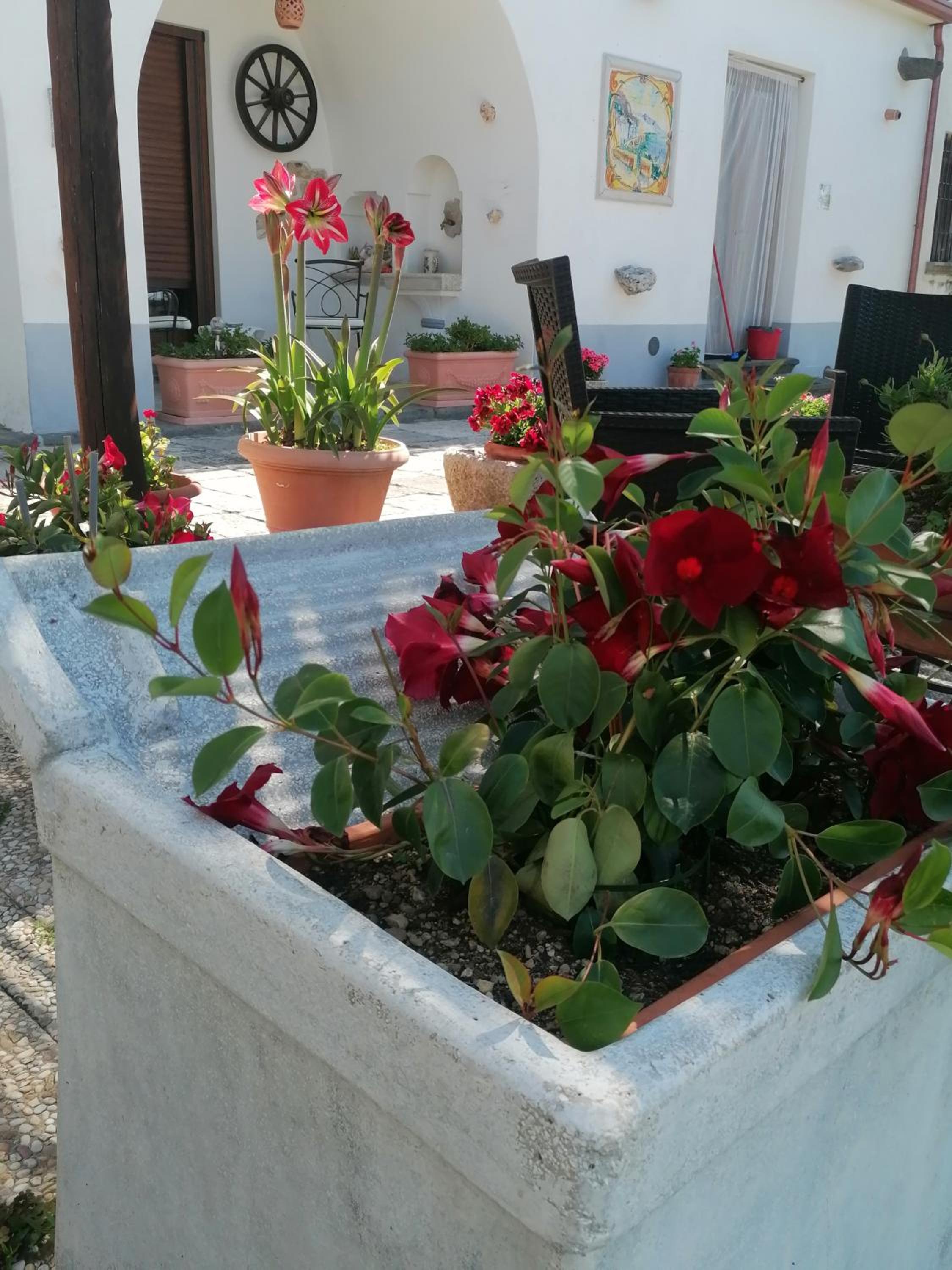 Il Casale del Generale photo 3