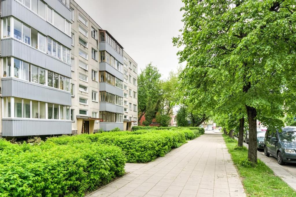 Hidden gem apartment In 10min everywhere view 3