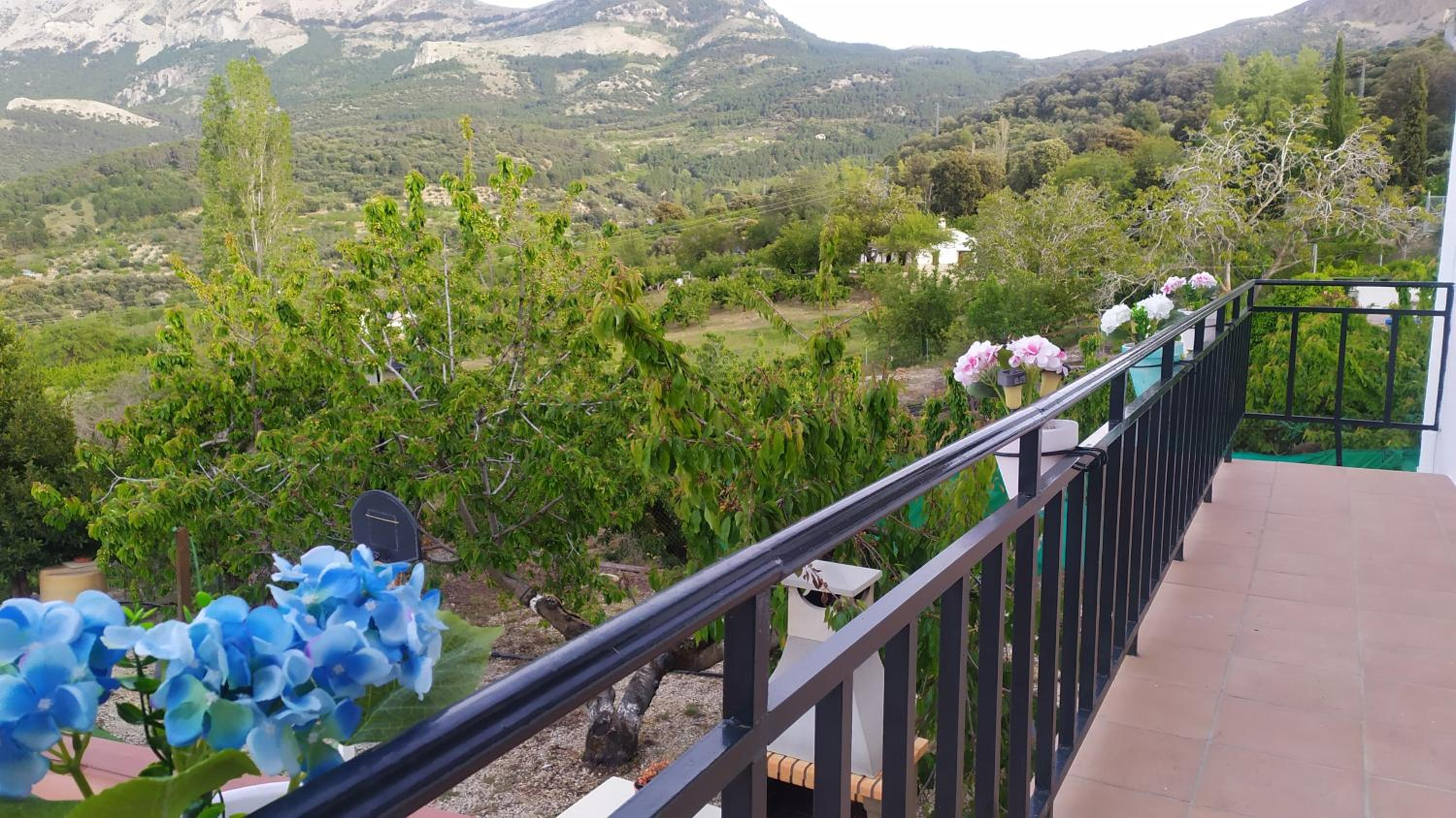 Los Cabales