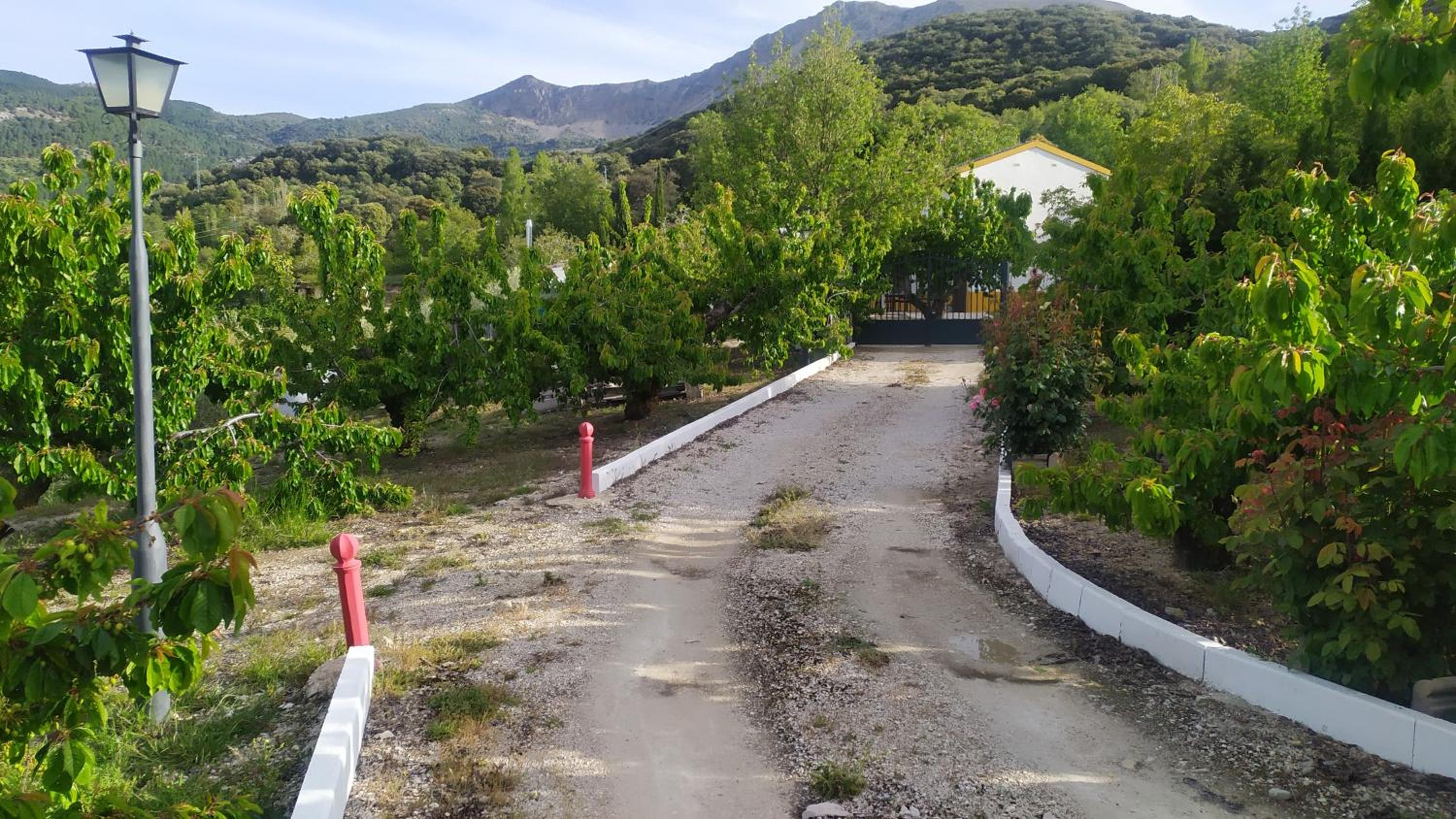 Los Cabales