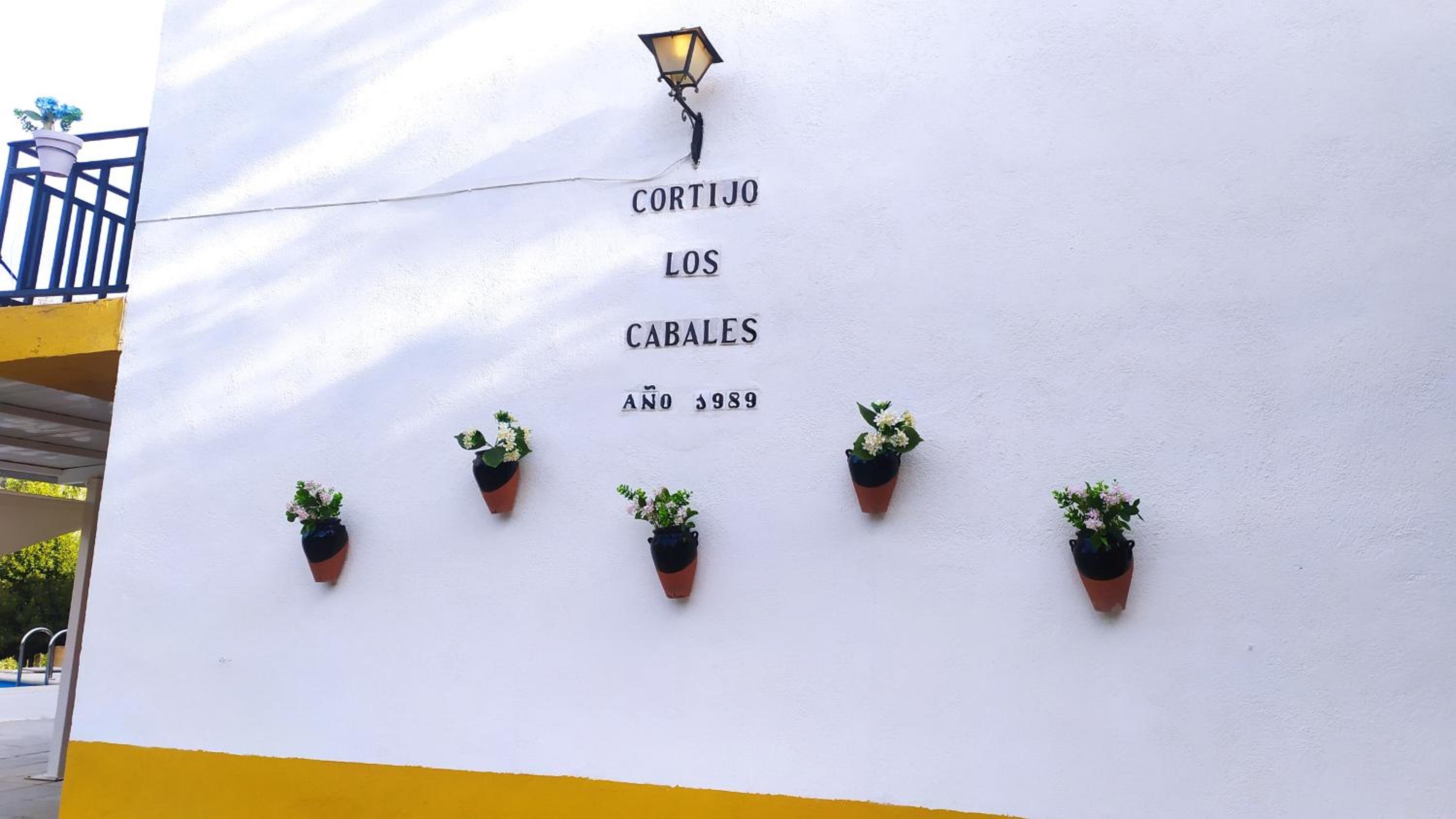Los Cabales