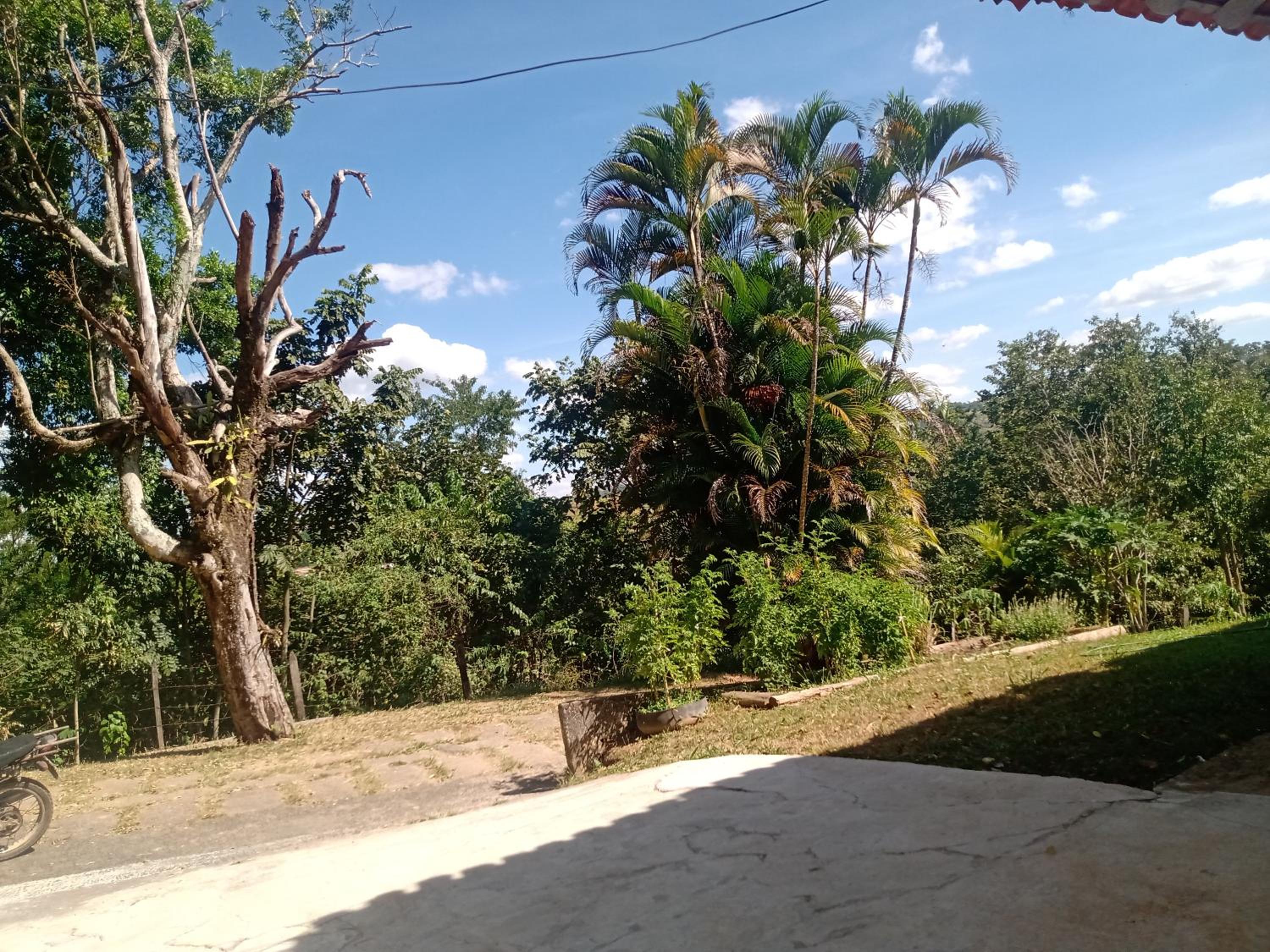 Campo dos Sonhos