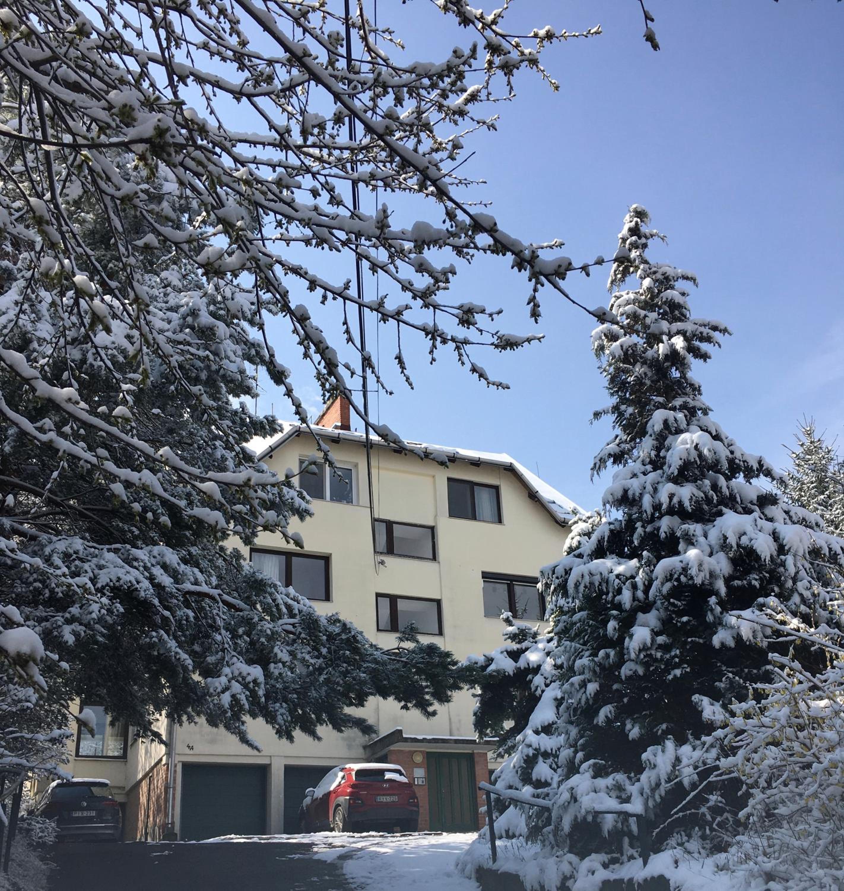 Photo 15