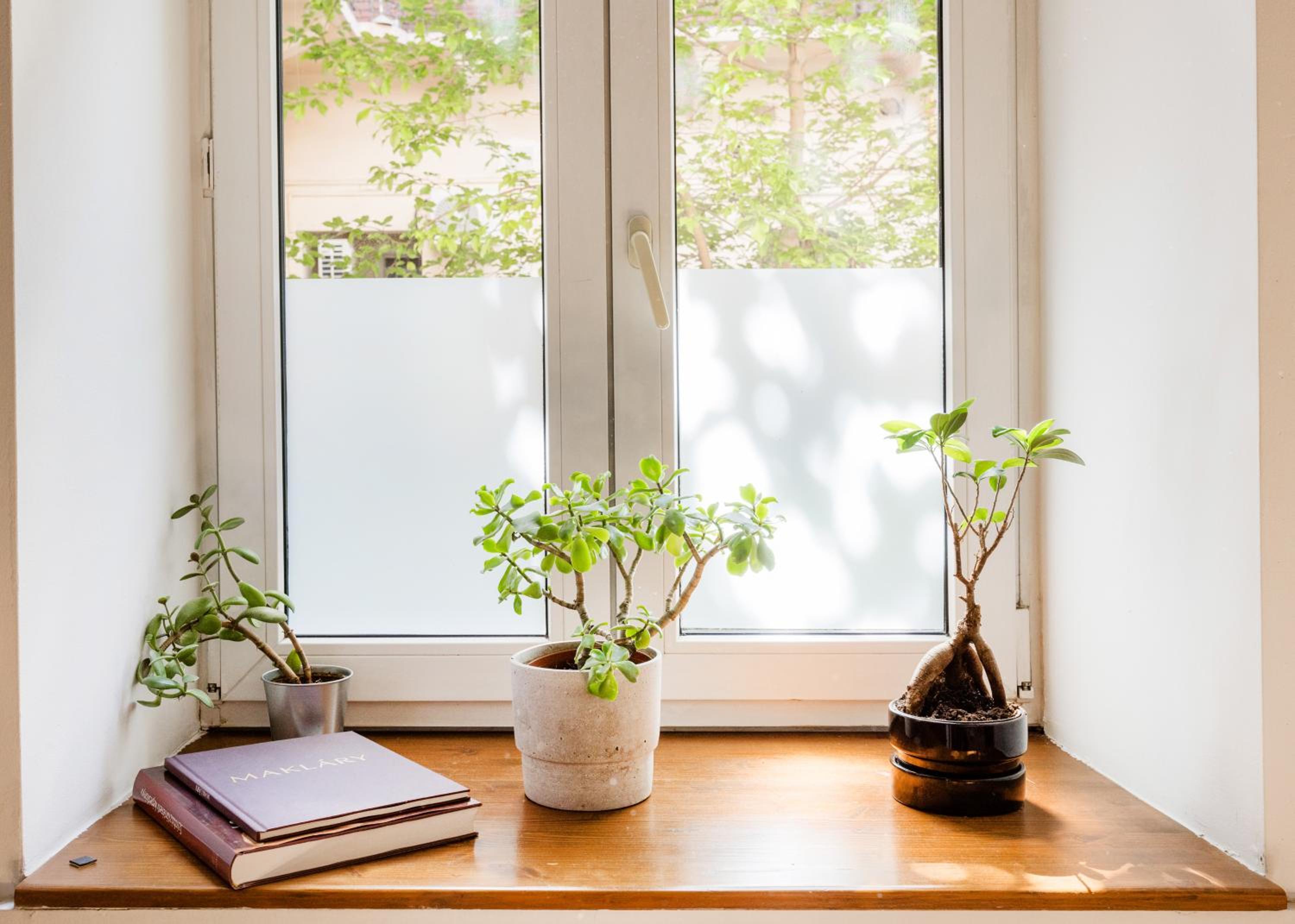 Stylish Natural Apartment with SAUNA - Heroes Square