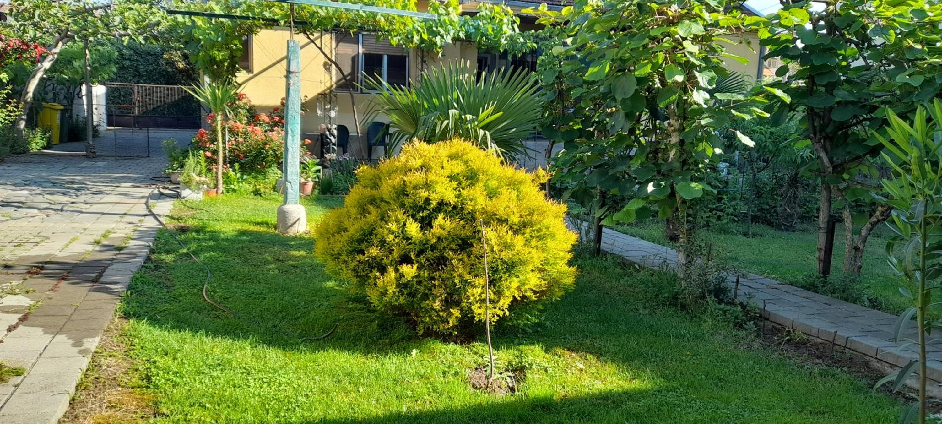 Photo 13