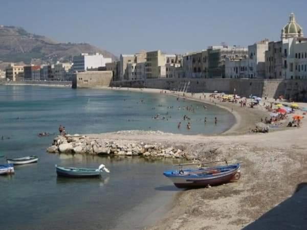 Photo 44