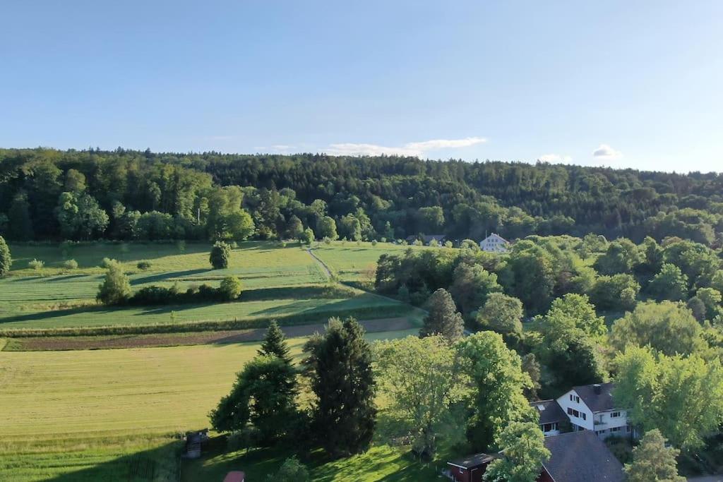 City feel good with forest view