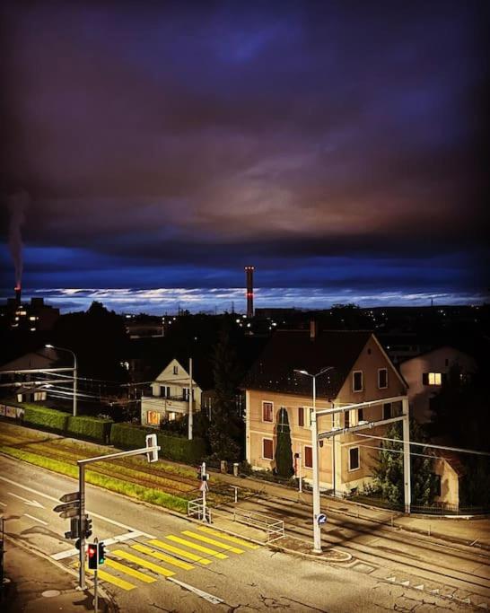 City feel good with forest view