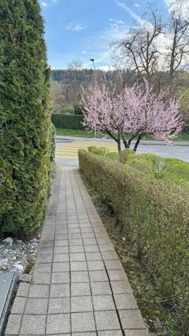 City feel good with forest view
