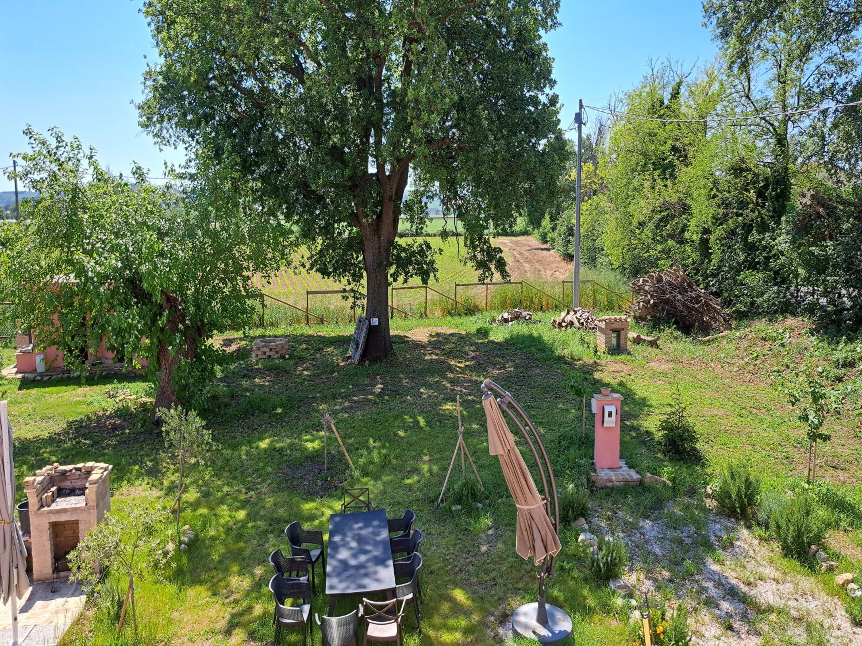 Photo 19