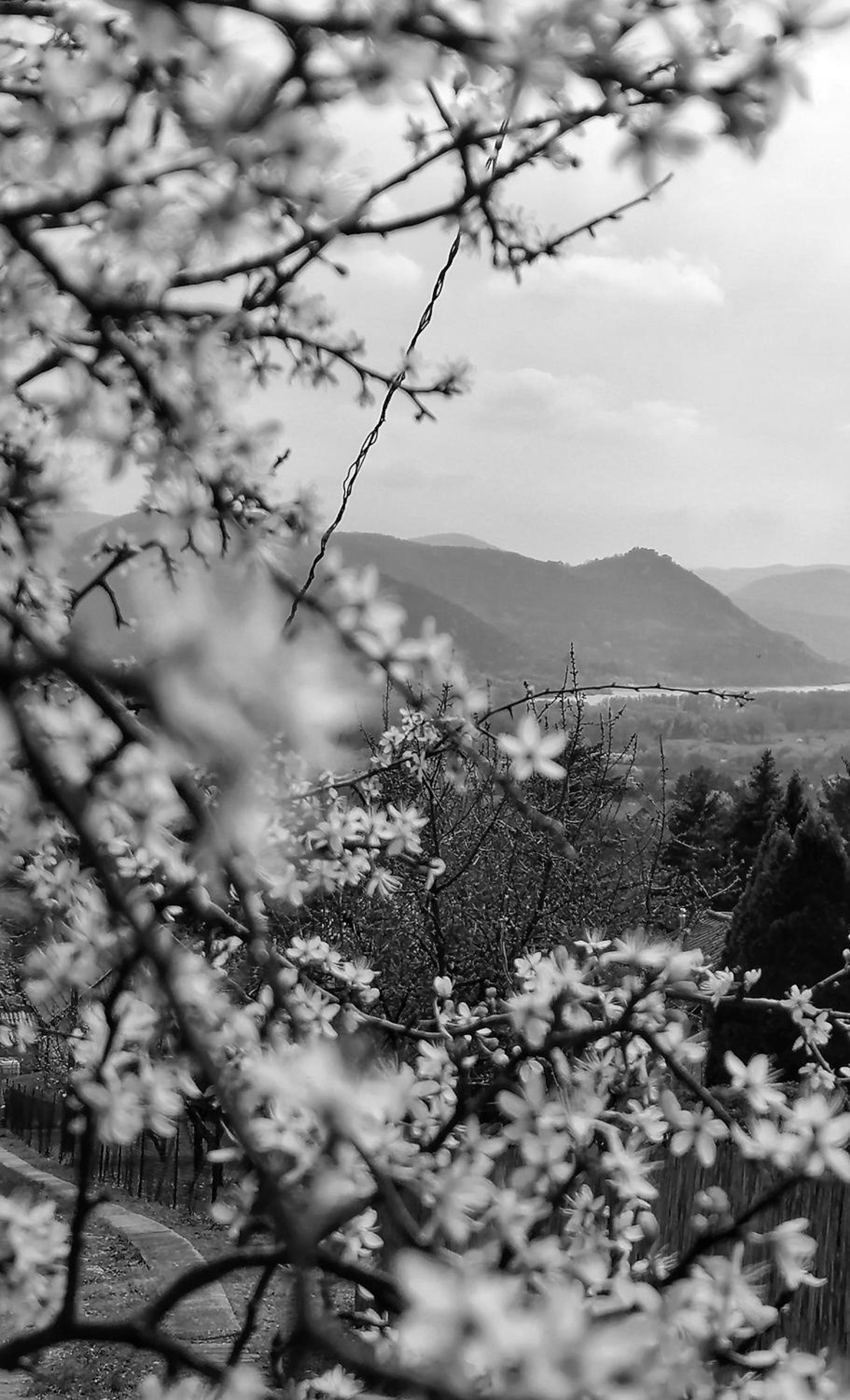 Barkóca és Szépkilátás Vendégház / Cabin view 5
