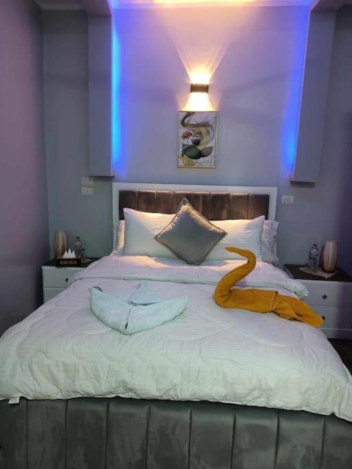 Luxurious Studio Apartment.