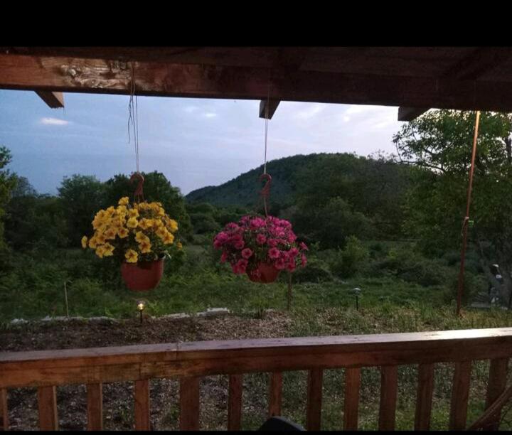 Planinska kuca