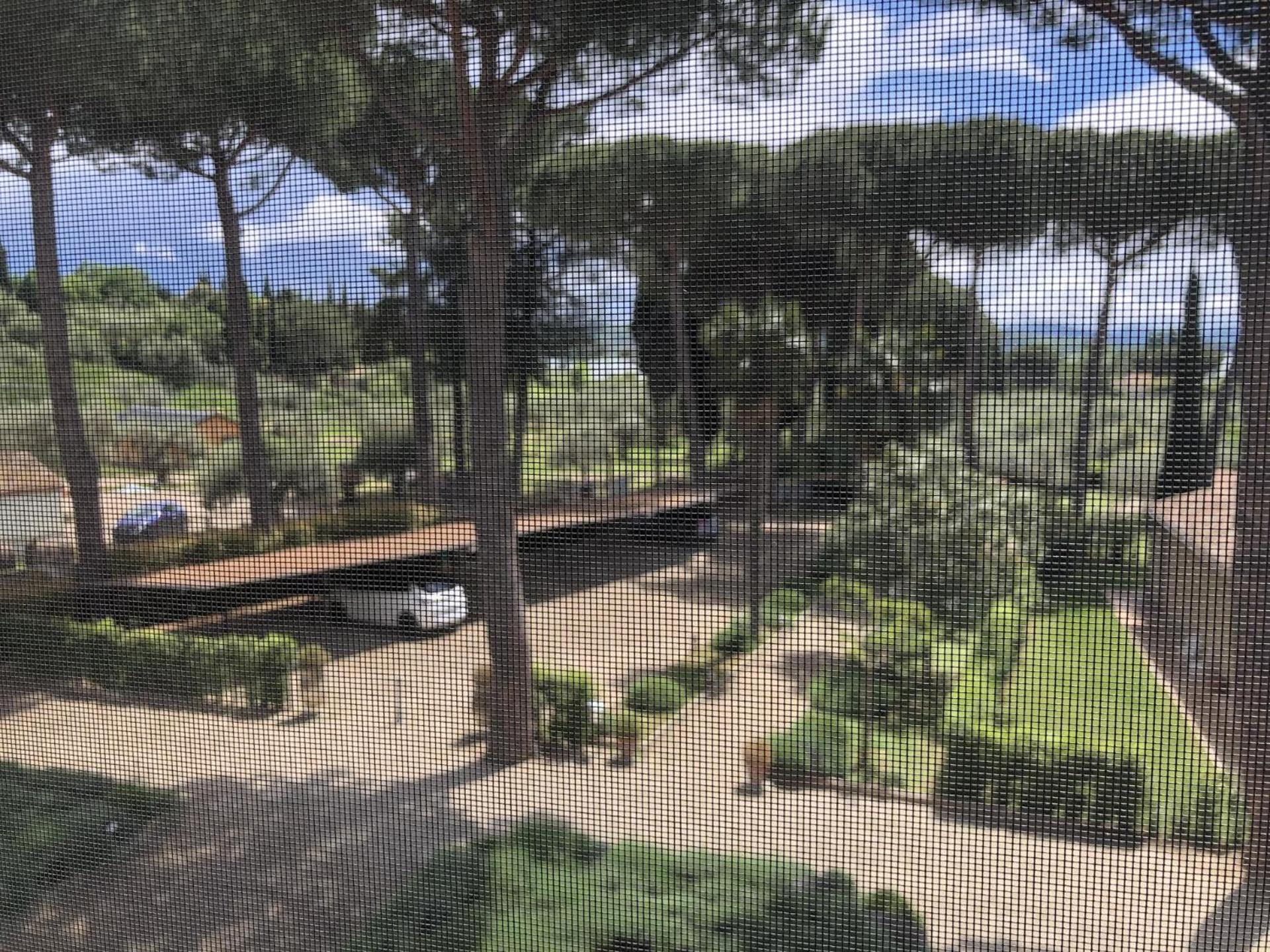 Tranquil location with views of Lake Trasimeno! photo 4