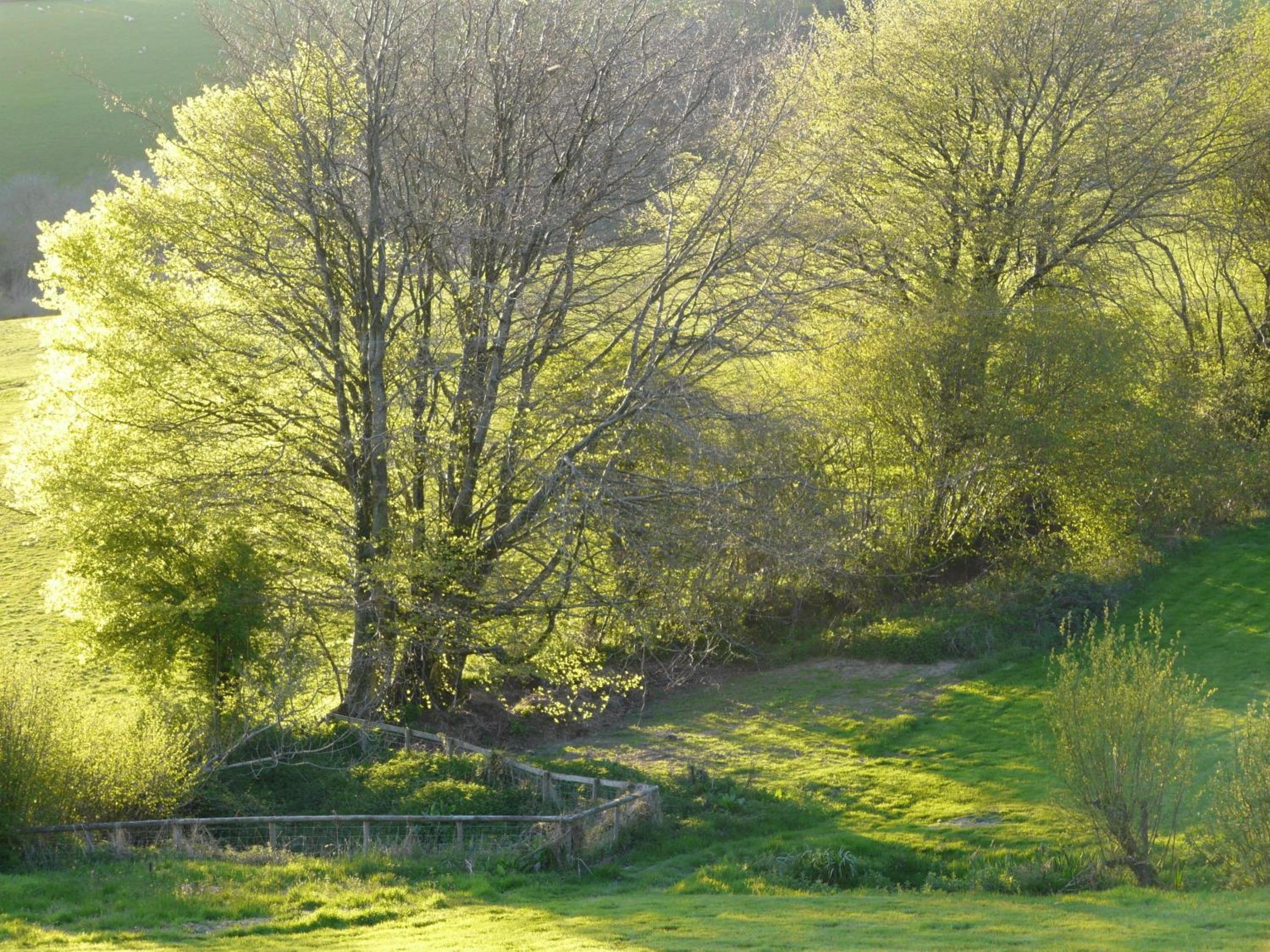 West Huckham Barn view 5