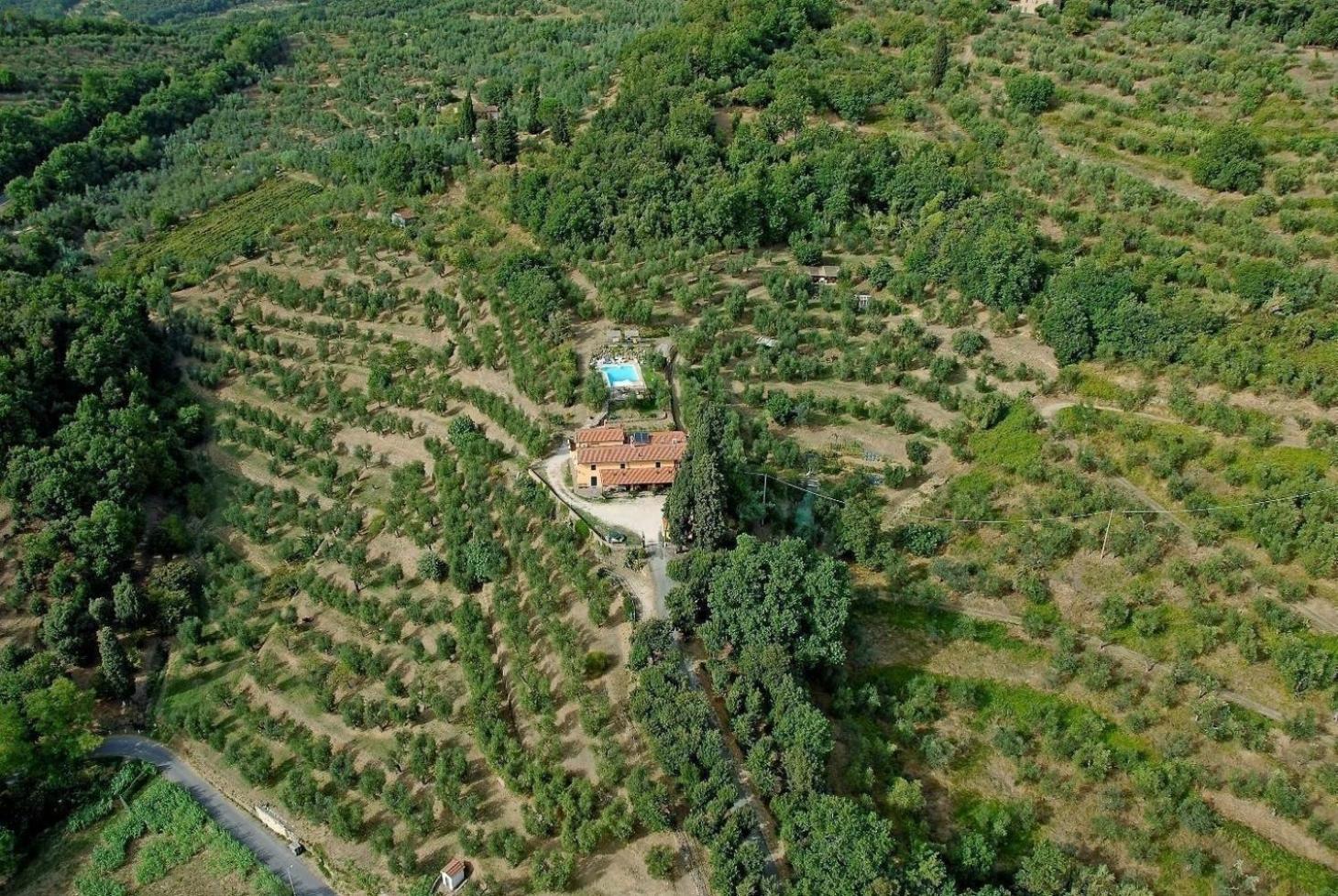 Ferienhaus in Monsummano Terme mit Privatem Pool view 2