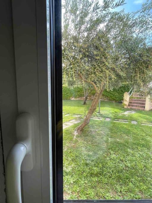 Bilocale con patio nel verde view 4