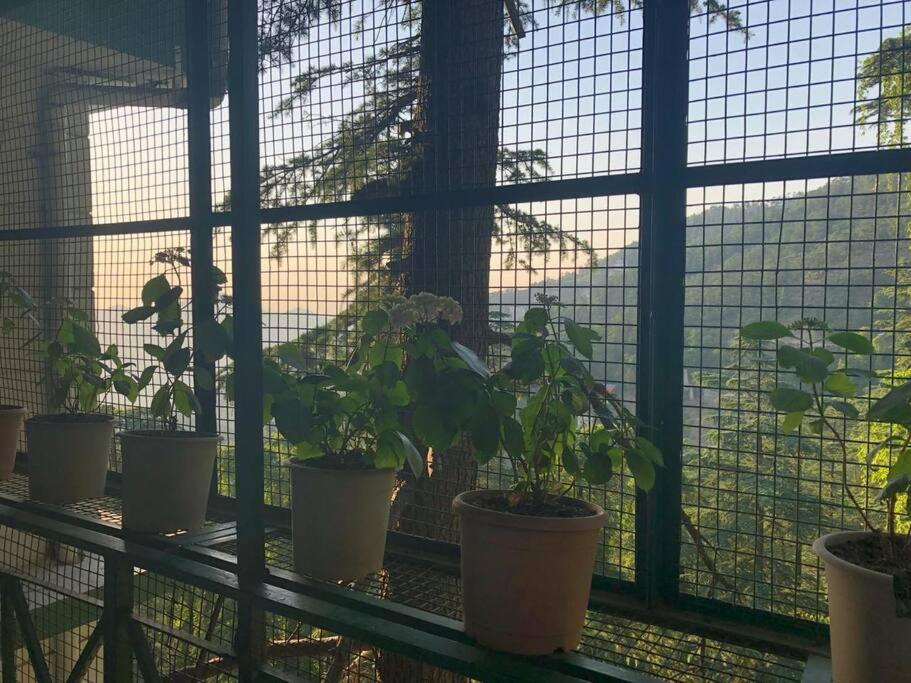 Inner Peace Retreat Simla view 2