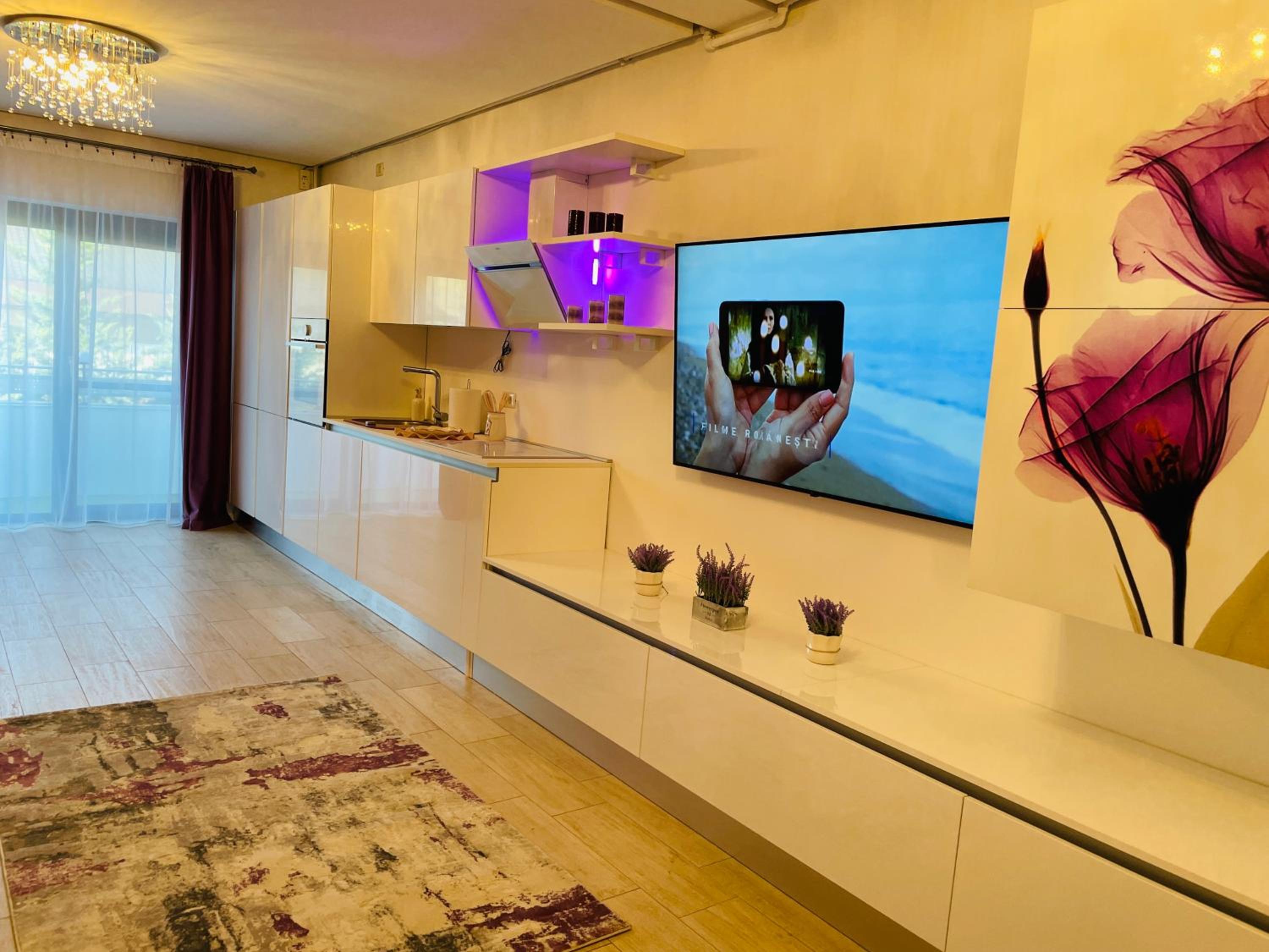 S & S Apartment 2 bedroom with Balcony & Terrace Dumbravita free Parking at location 2 spaces view 3