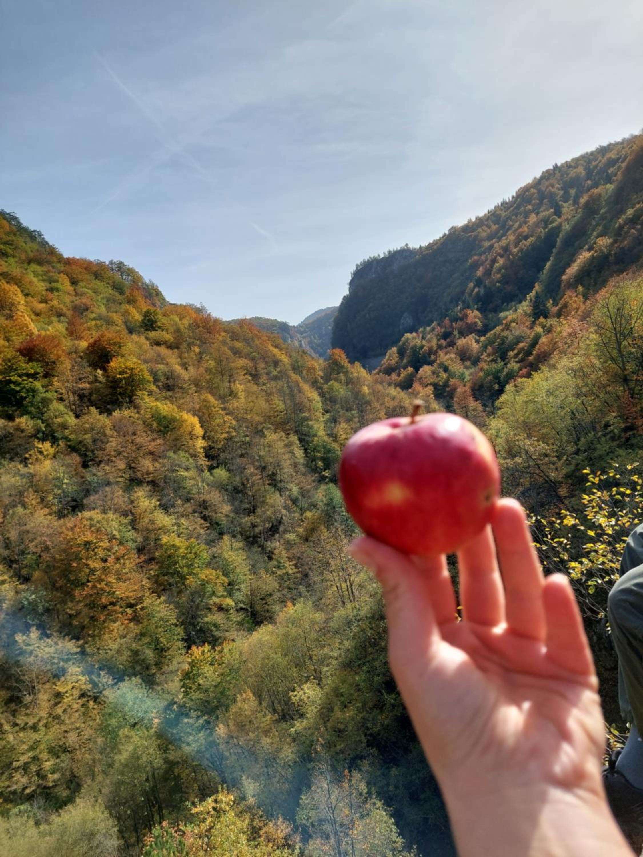 Čarobna Kuća Jahorina