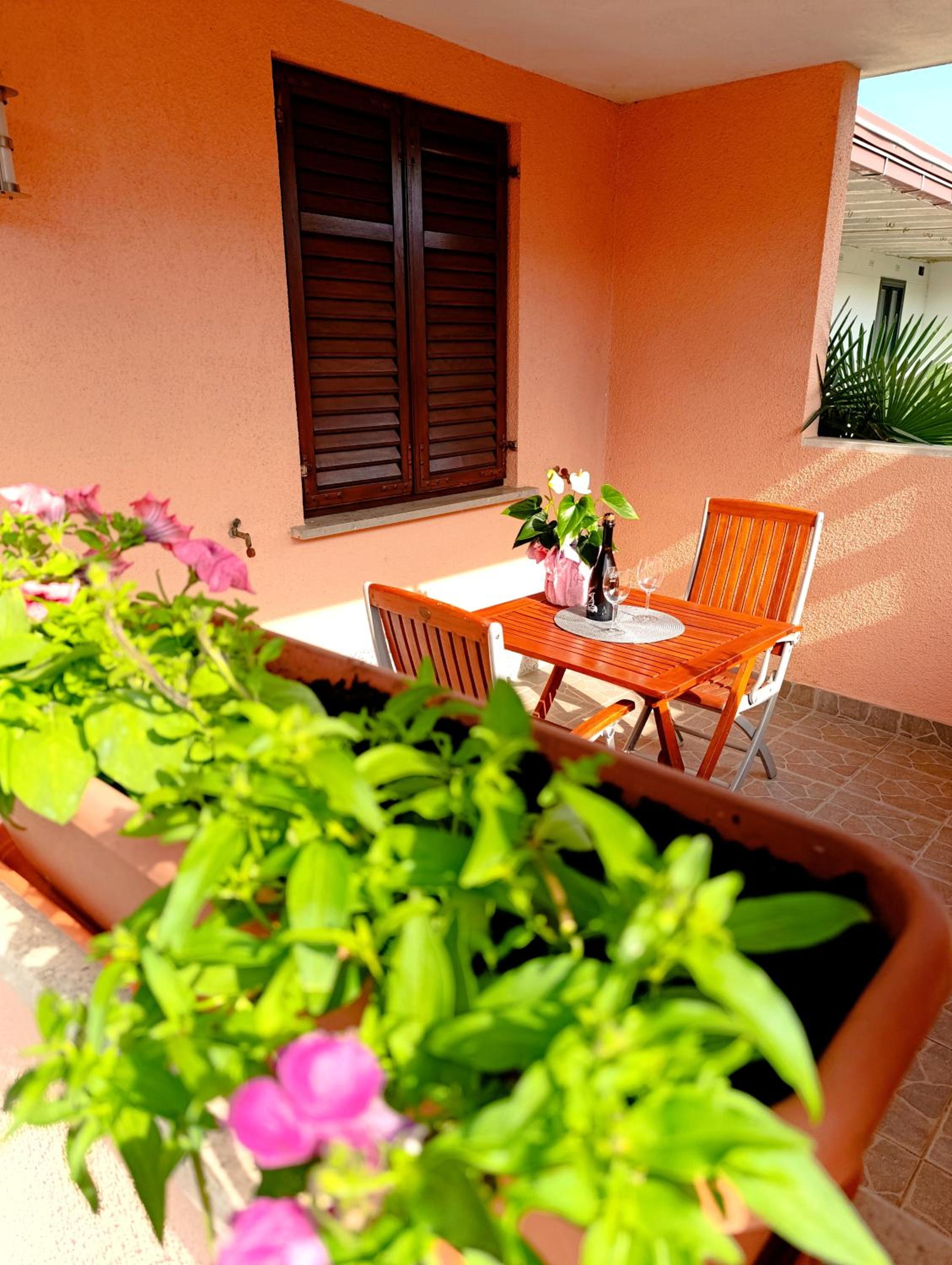 Oasis Apartment
