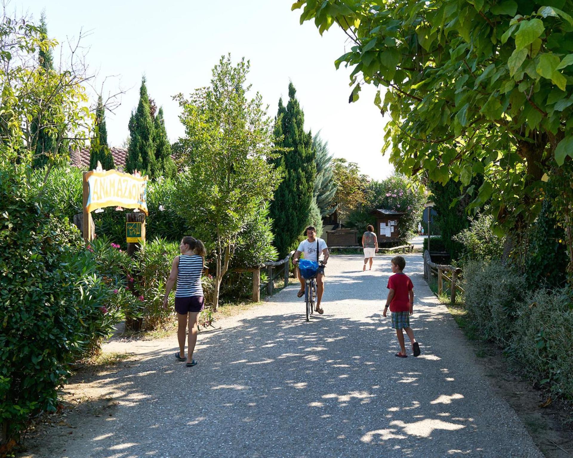 Photo 42