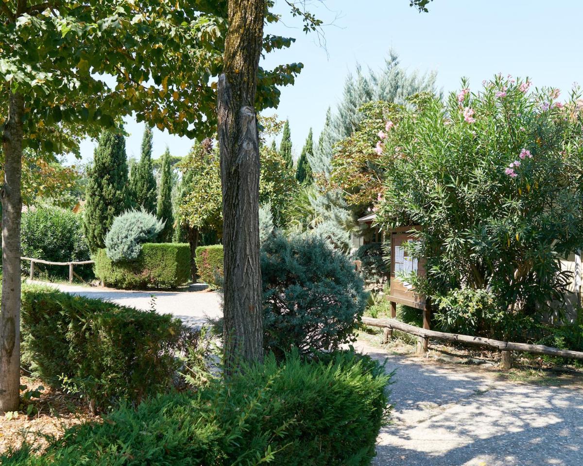 Comfortable campsite-chalet G12 Tuscany near sea view 5