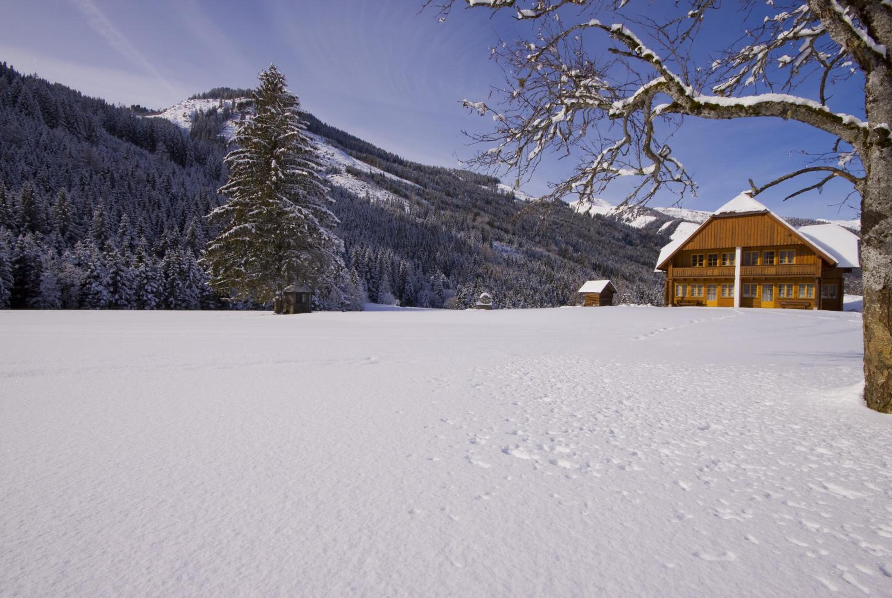 Schaffergut Appartements