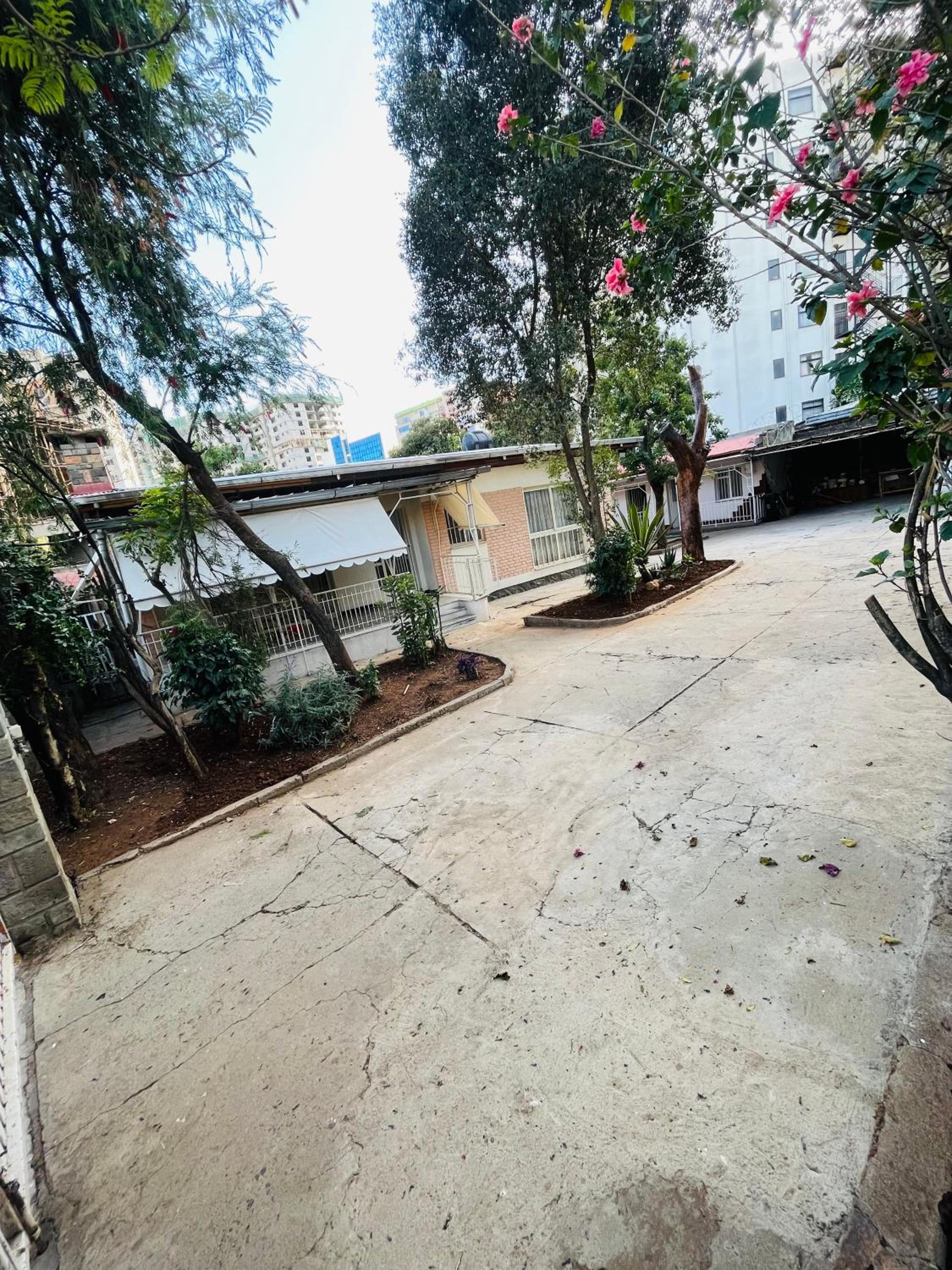 villa with 3 bedrooms in bole view 3