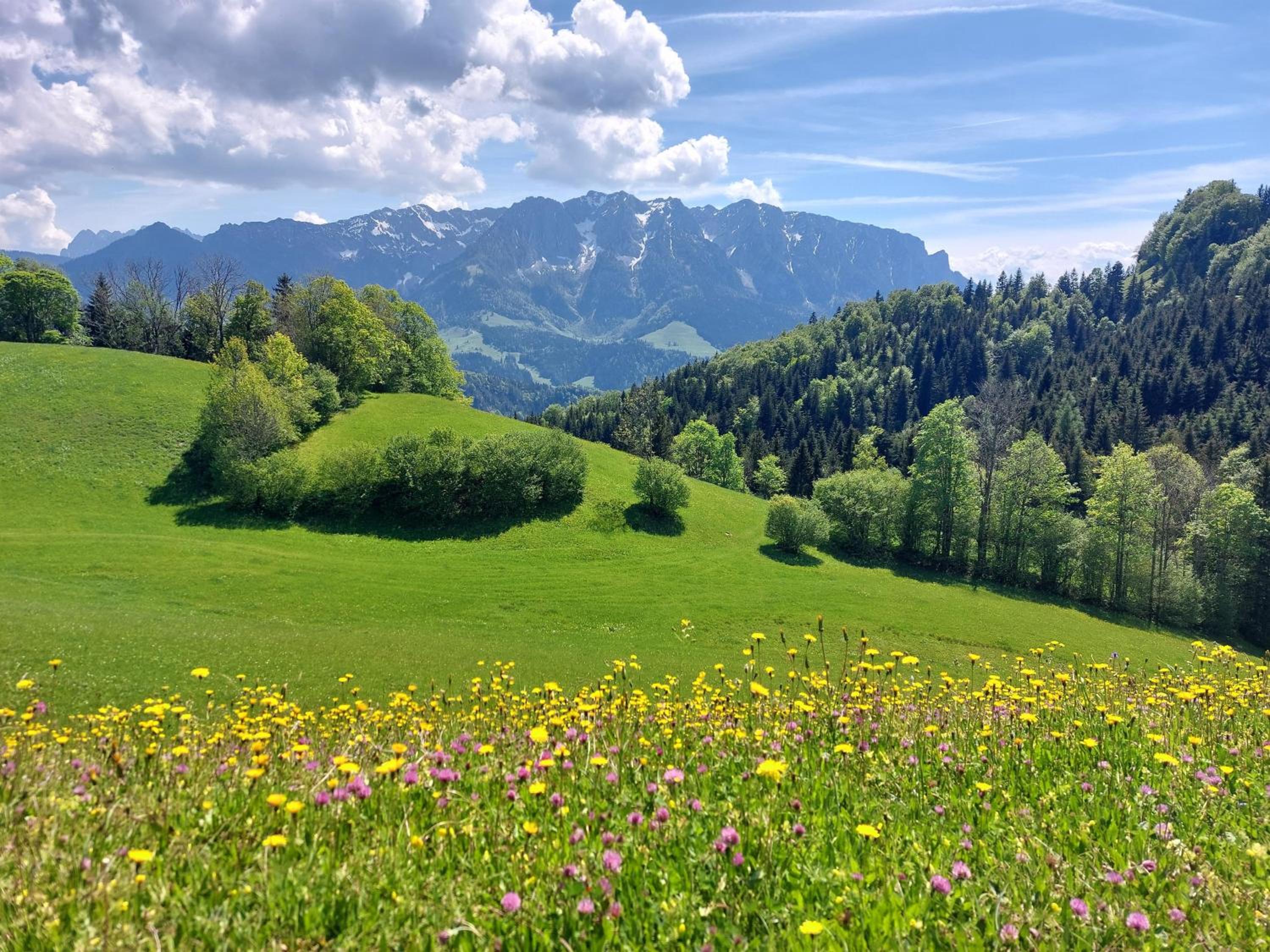 BERGapart Götschl Rettenschöss view 2