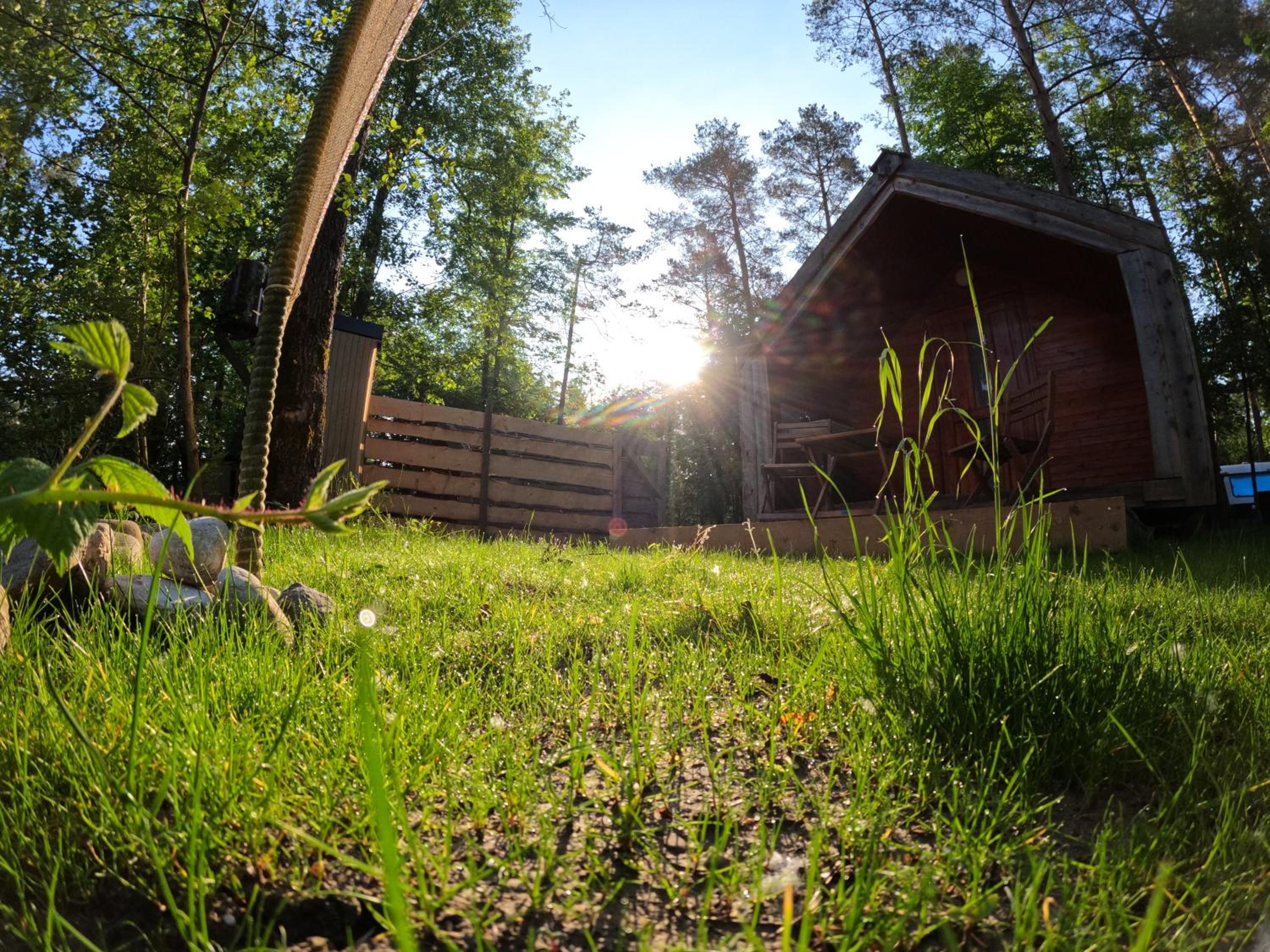 Forest Lodge view 2