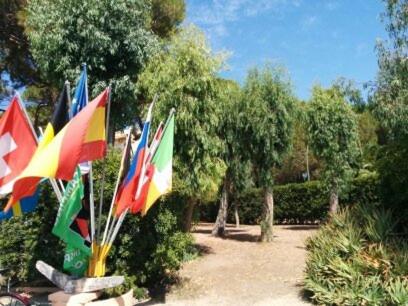 Photo 44