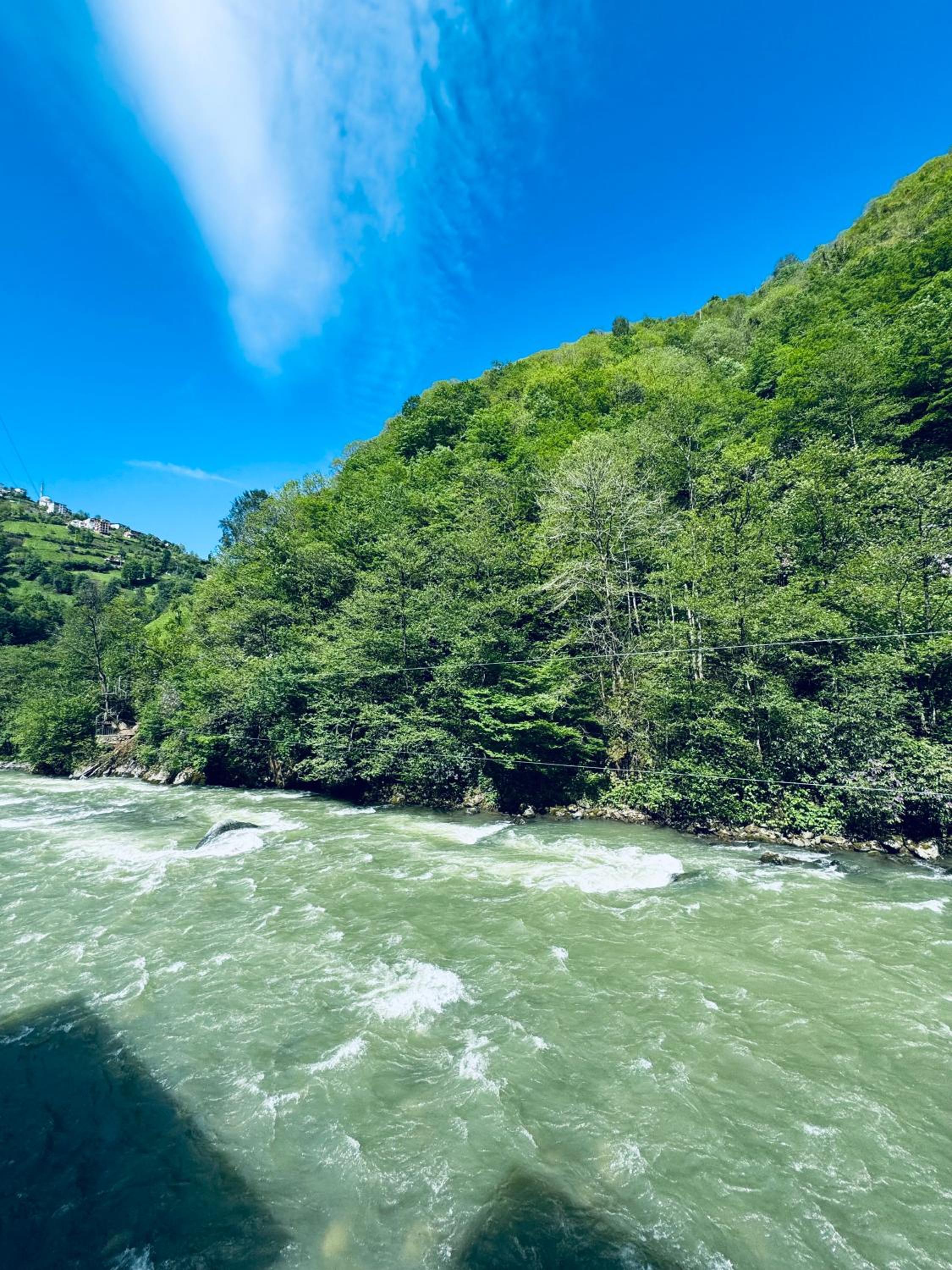 River House Suit en Ardeşen — other