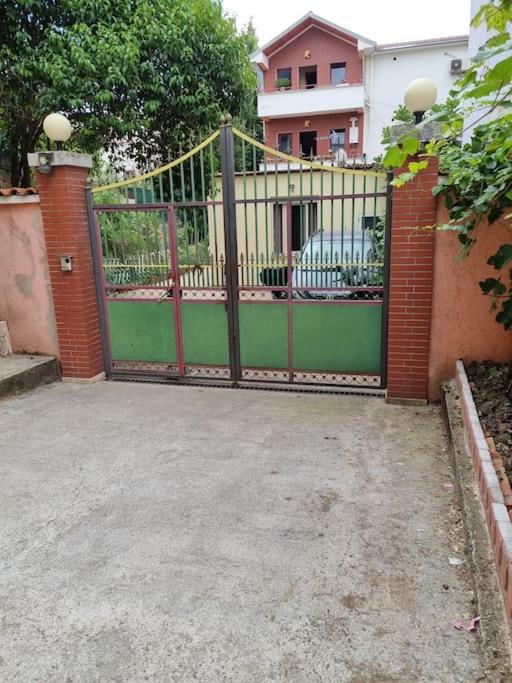 Friendly dogs house