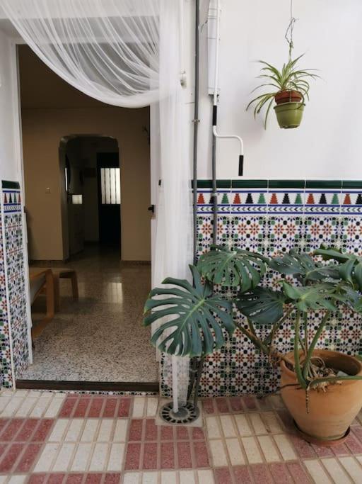 Casa Margarita