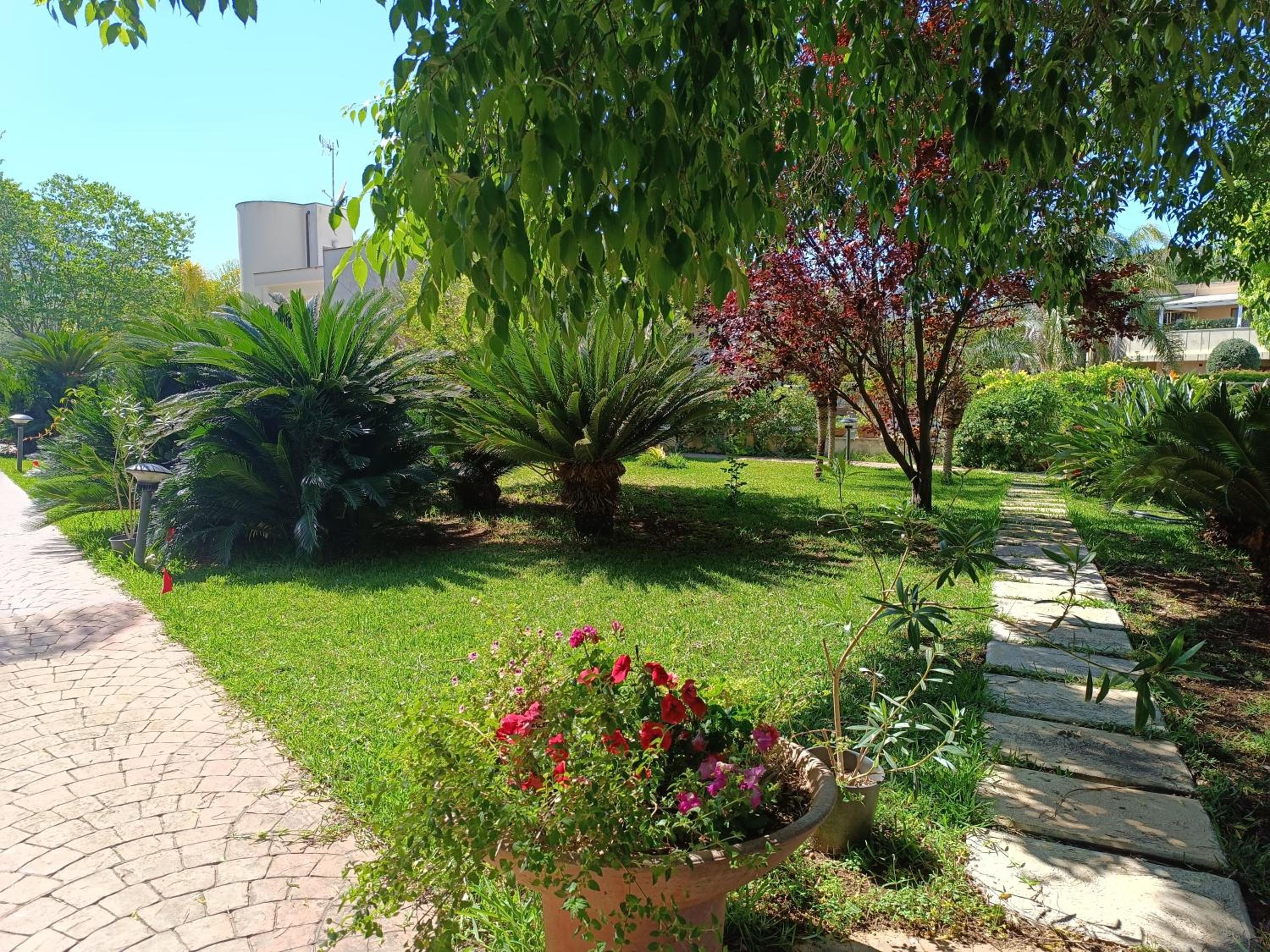 B & B Villa Flora view 5
