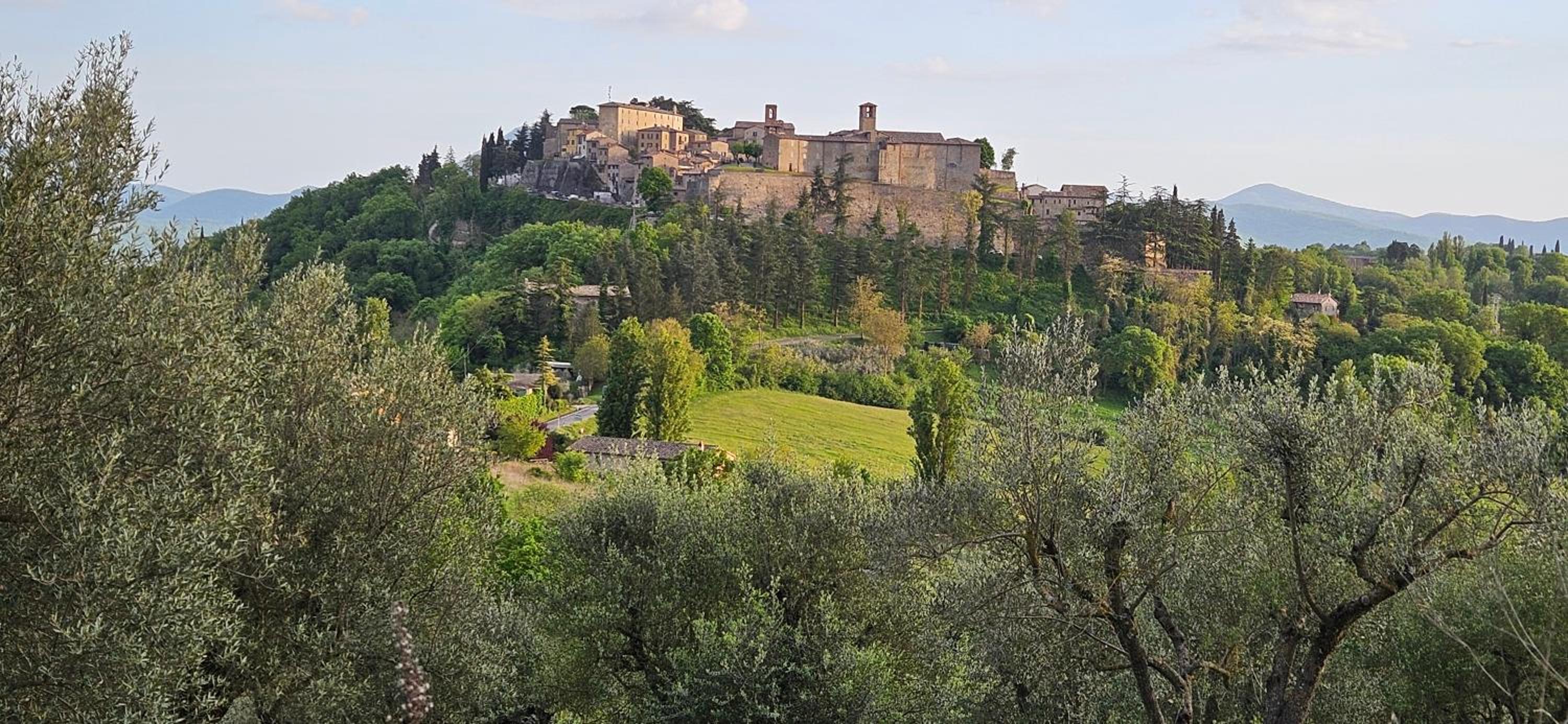 Borgo Cardaneto