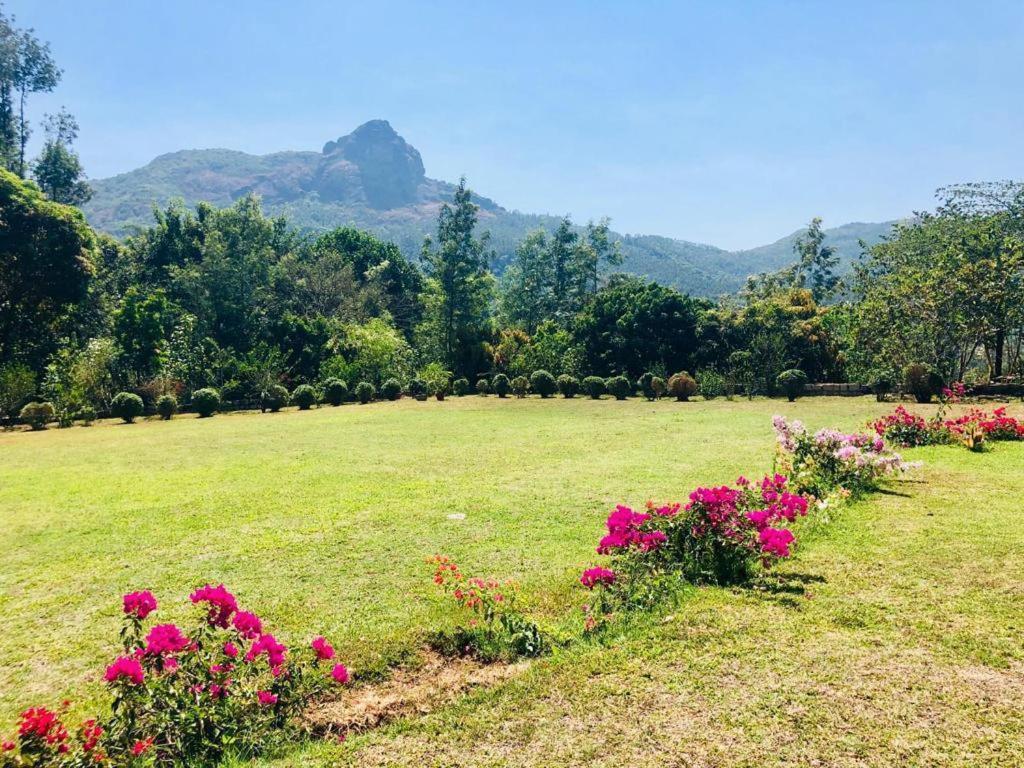 The Sattva Nature Retreat view 4