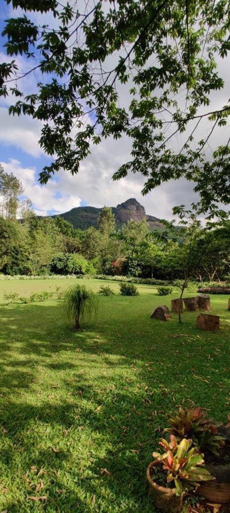 The Sattva Nature Retreat view 5