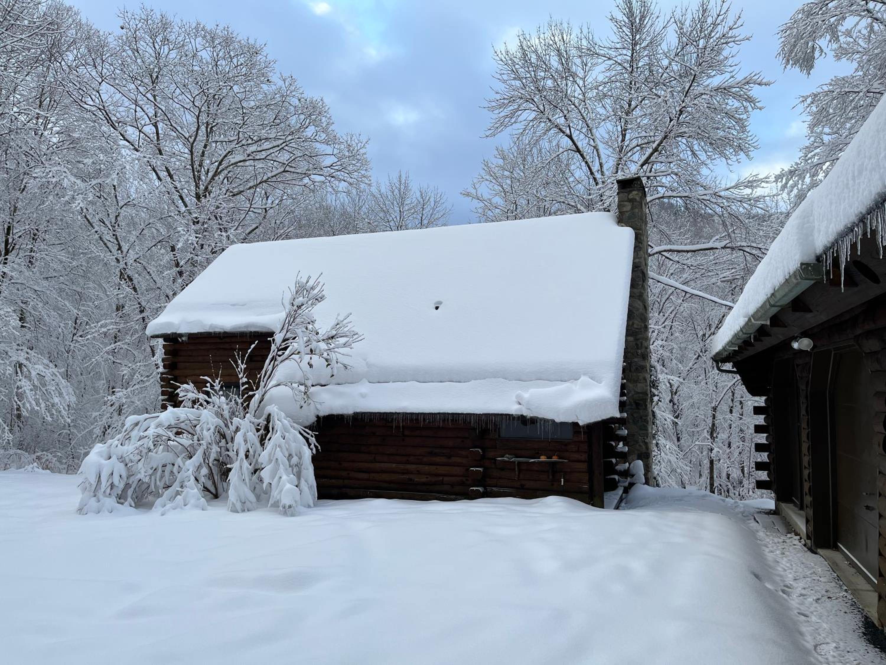 Cabin in the Woods - Property Image 22