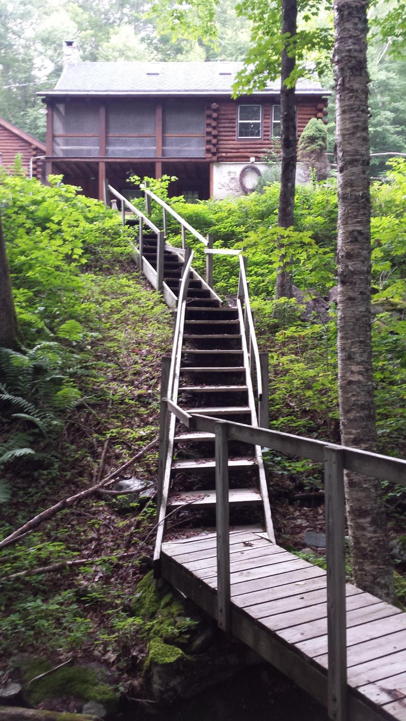 Cabin in the Woods - Property Image 23