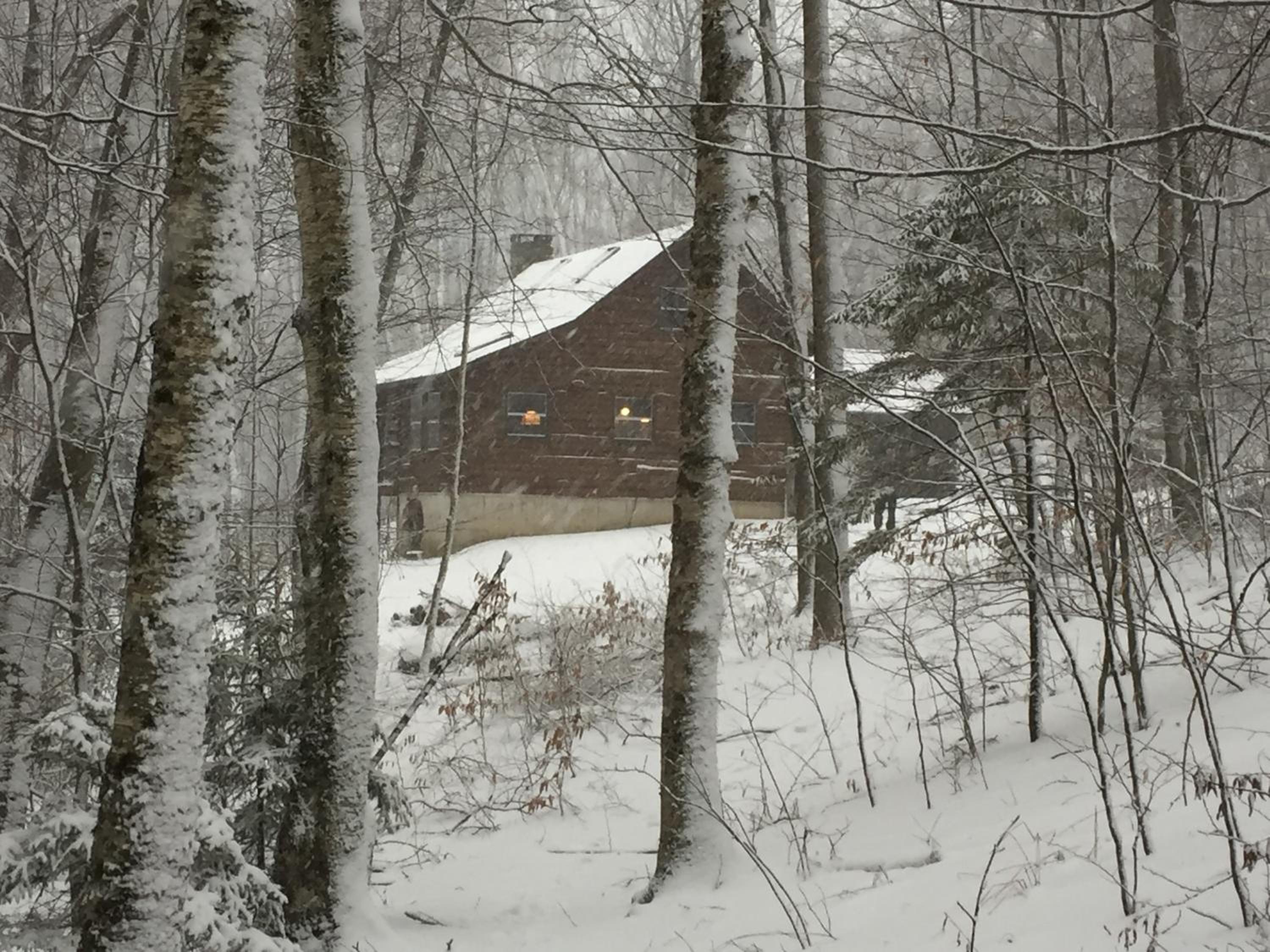 Cabin in the Woods - Property Image 27