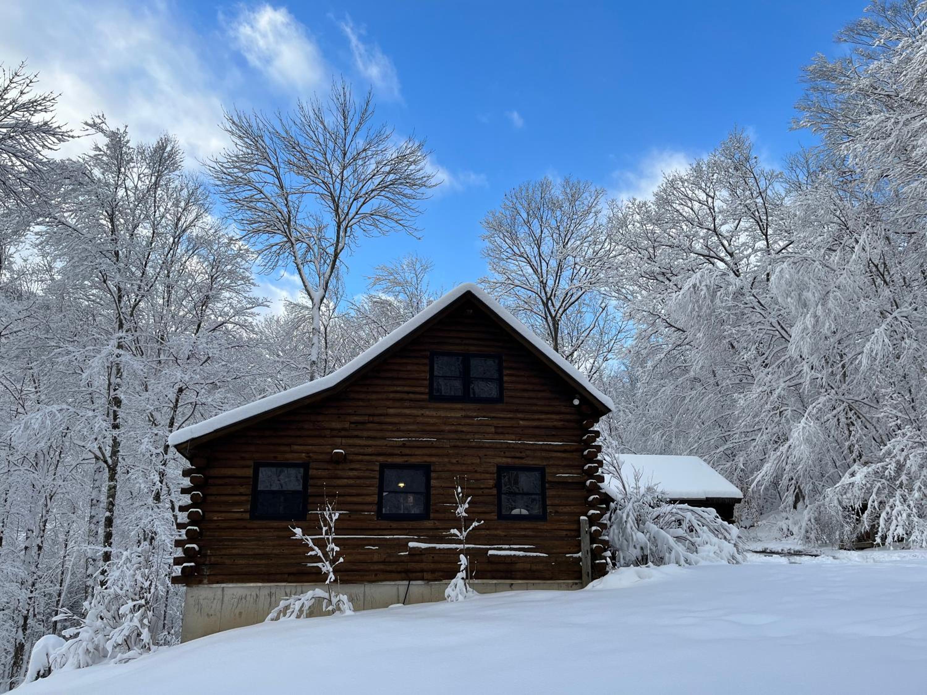 Cabin in the Woods - Property Image 2