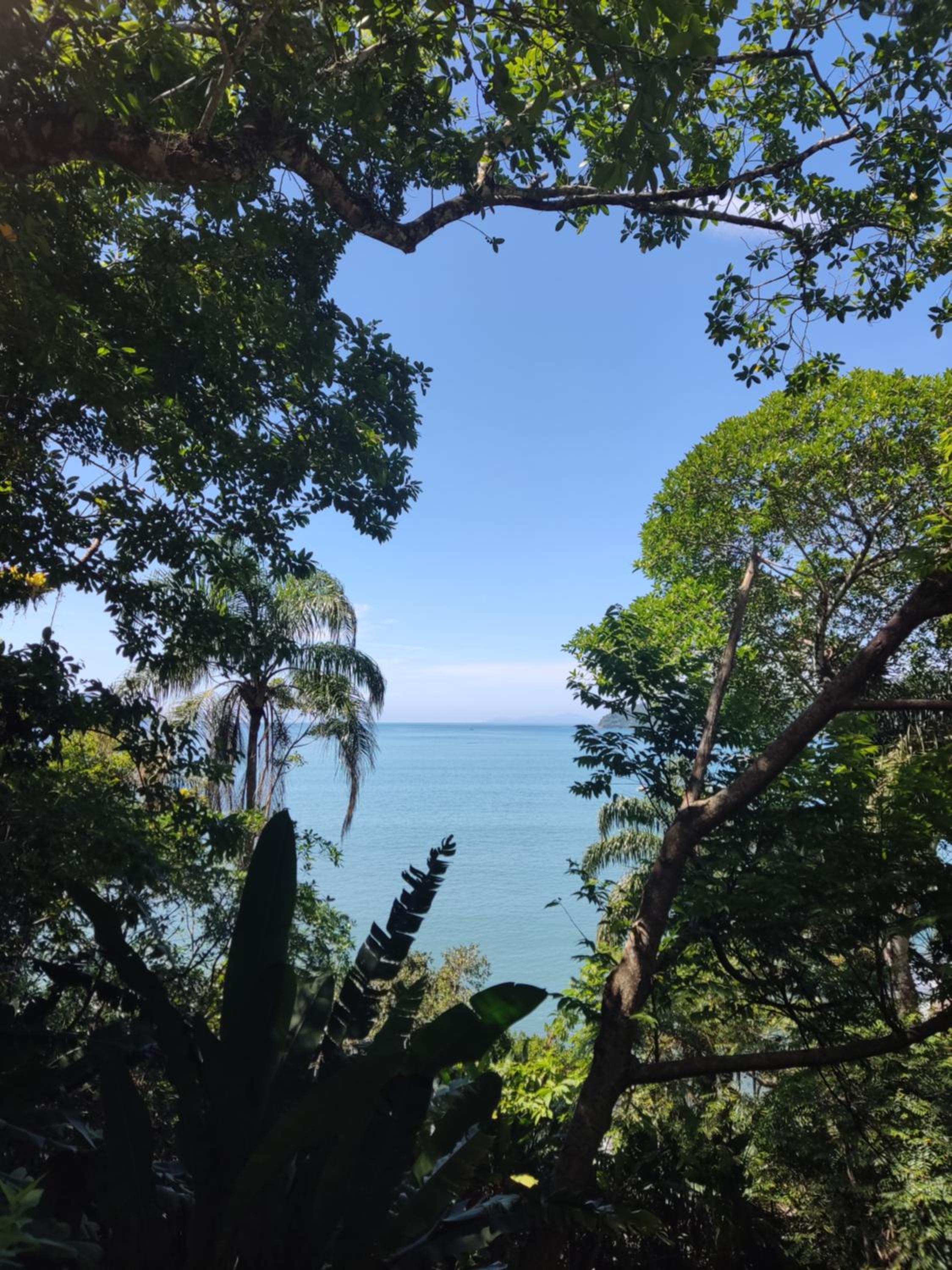 Apezinho da Praia