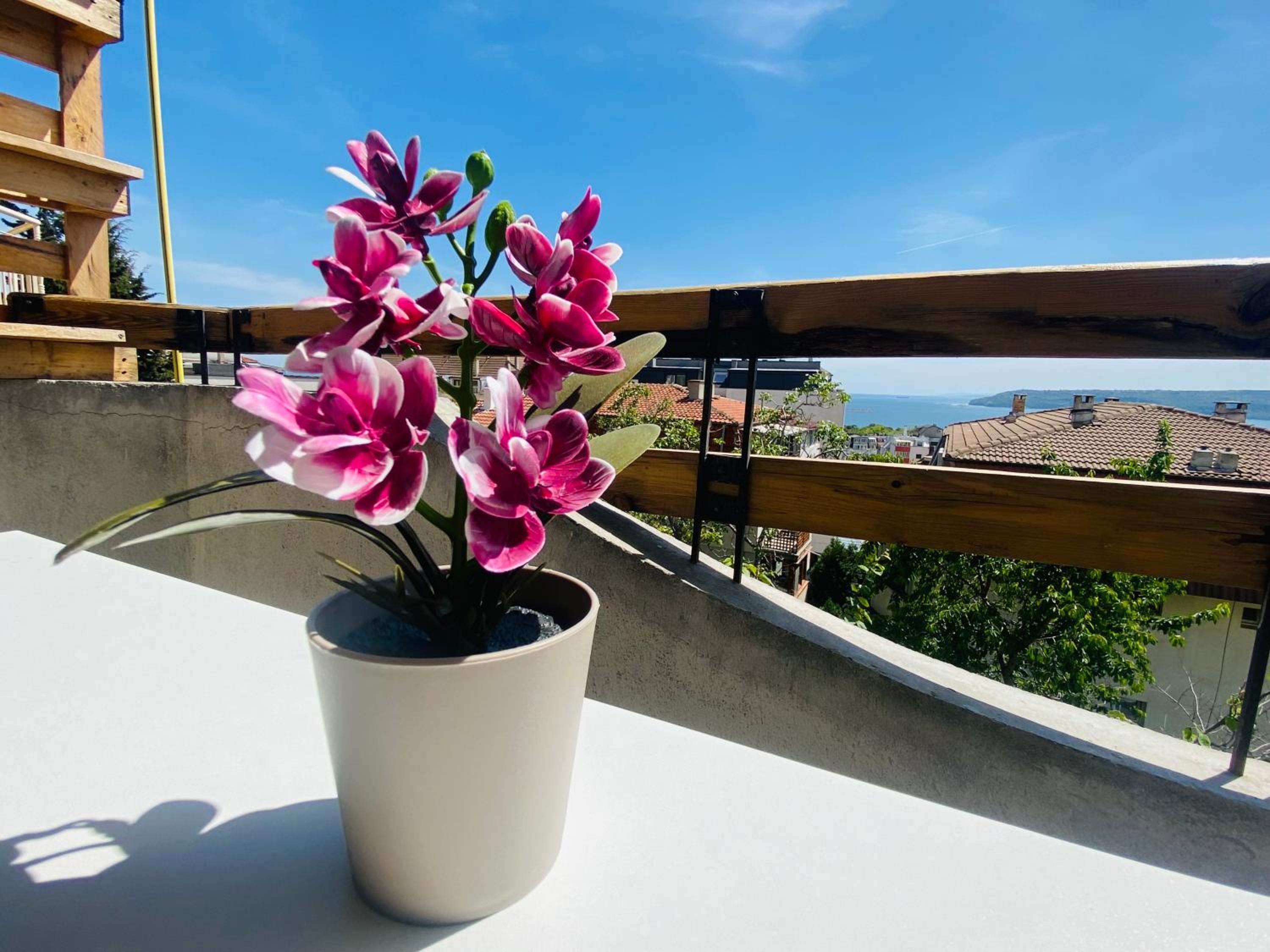 1 Bedroom Ap SeaView Peace and Quiet