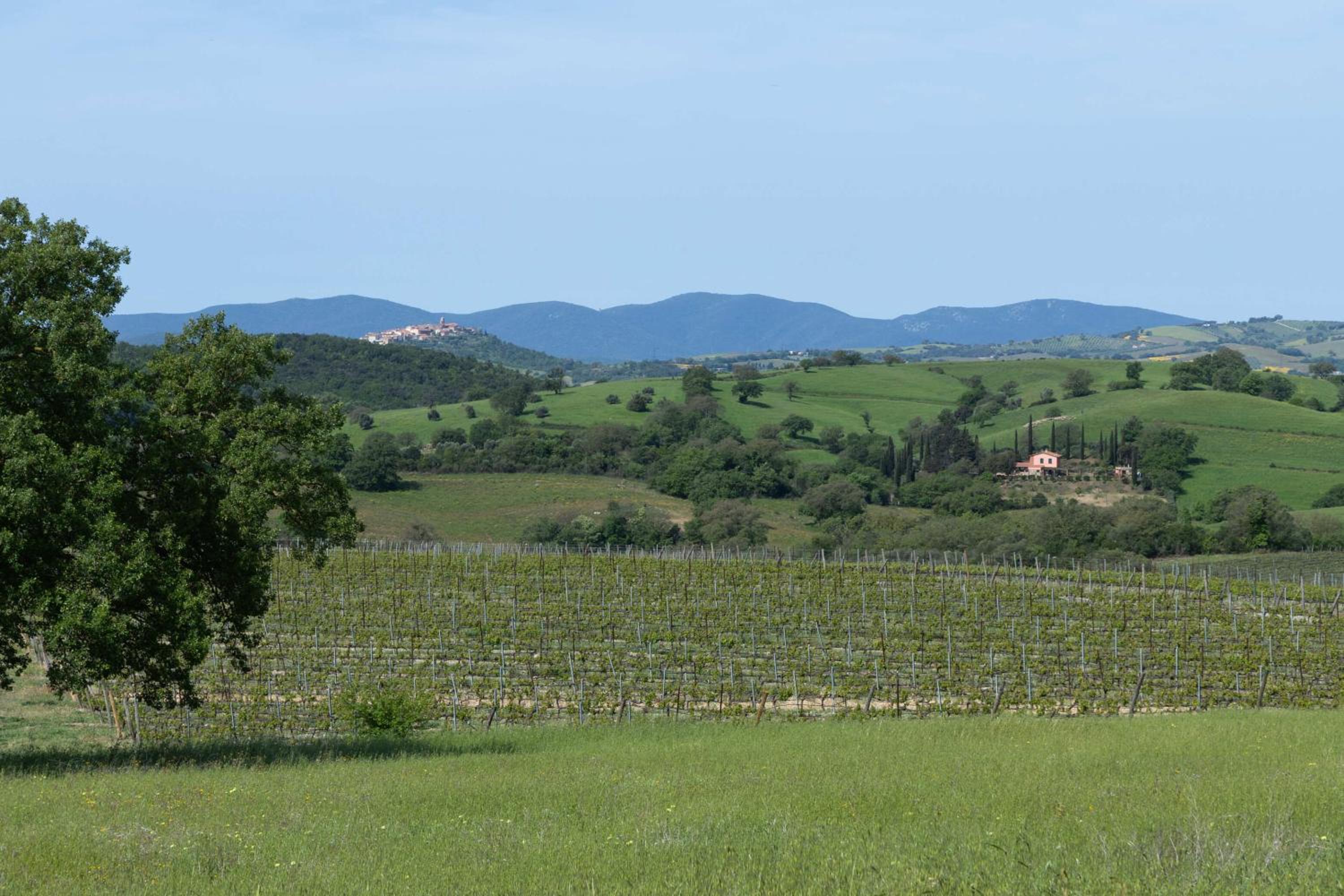 Casale Vergheria