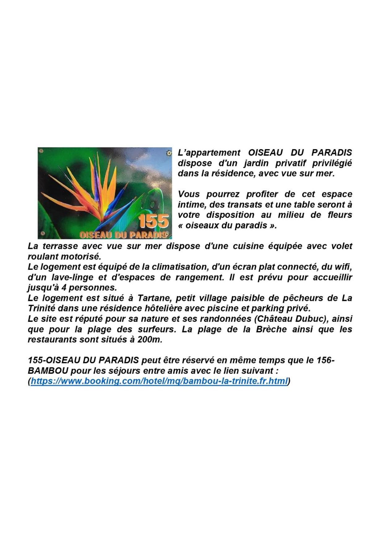 Oiseau du paradis view 3