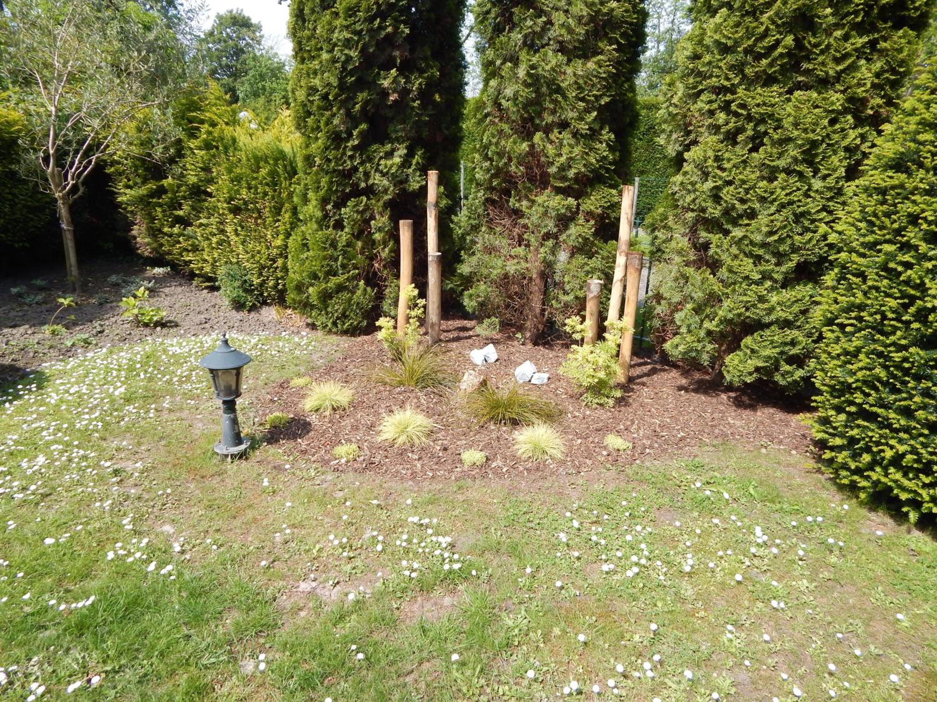 Photo 32